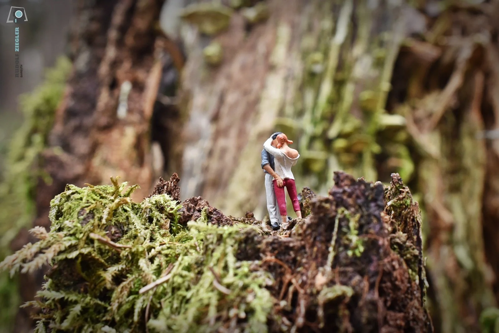 2021-03-09 Makro - Waldspaziergang 017-RZL1.JPG