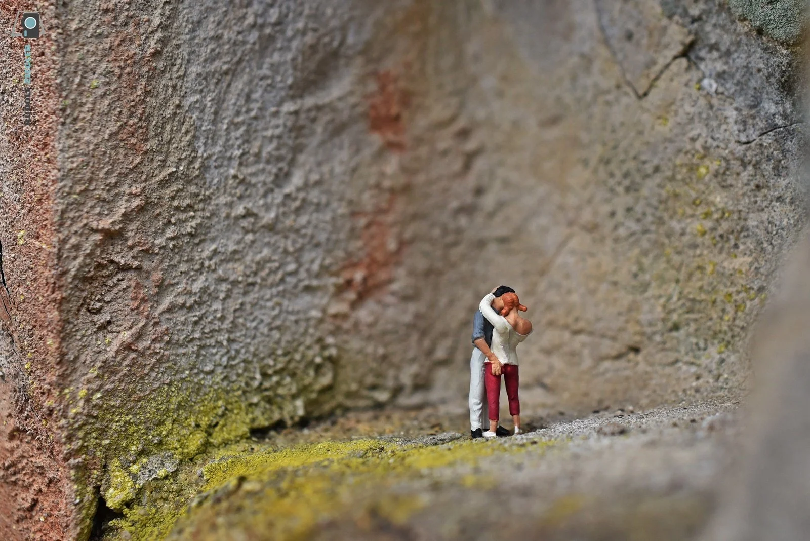 2021-03-09 Makro - Waldspaziergang 009-RZL.JPG