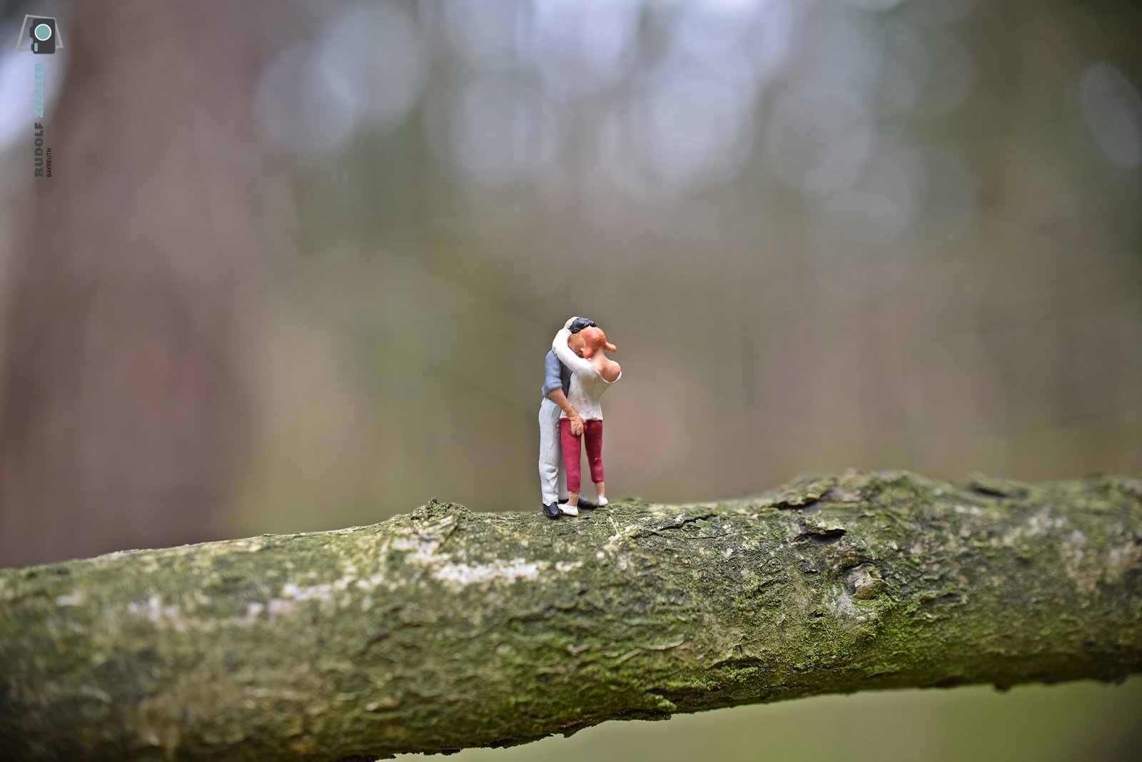 2021-03-09 Makro - Waldspaziergang 020-RZL.JPG