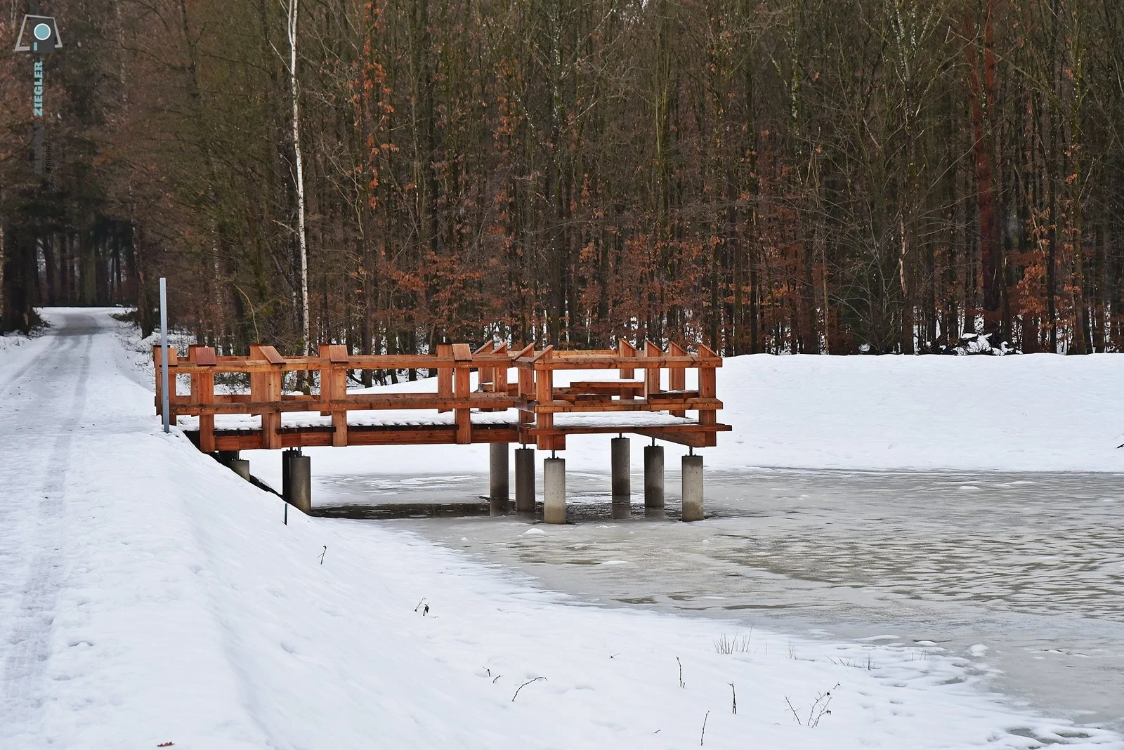 2026-01-14 Weiher im Studentenwald 043-RZL.JPG