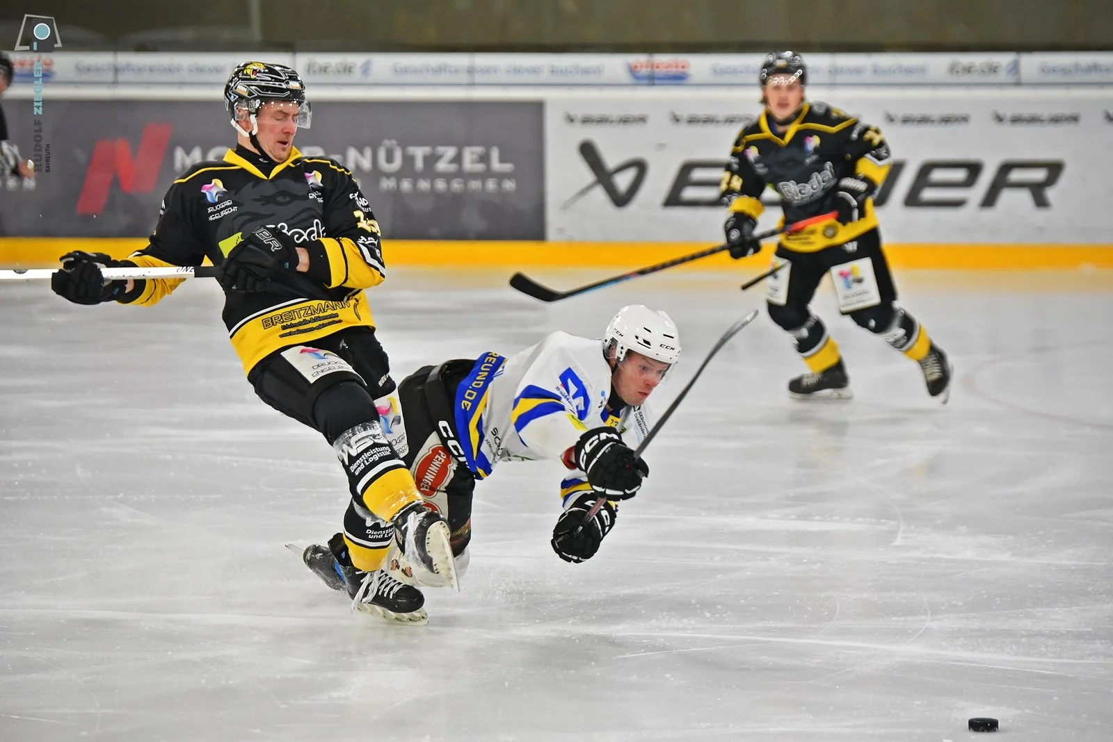 EHC Bayreuth “Die Tigers” e.V.