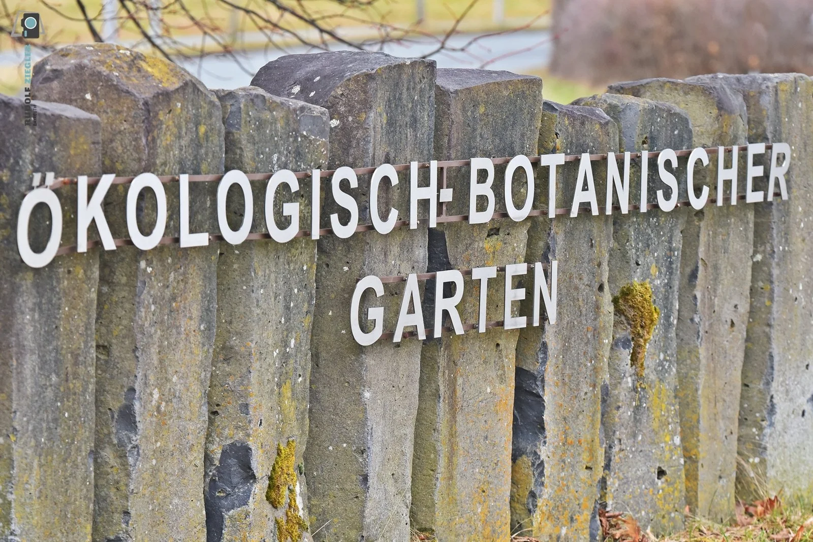 2026-03-01 #rauskopfaus - ÖBG 001-RZL.JPG