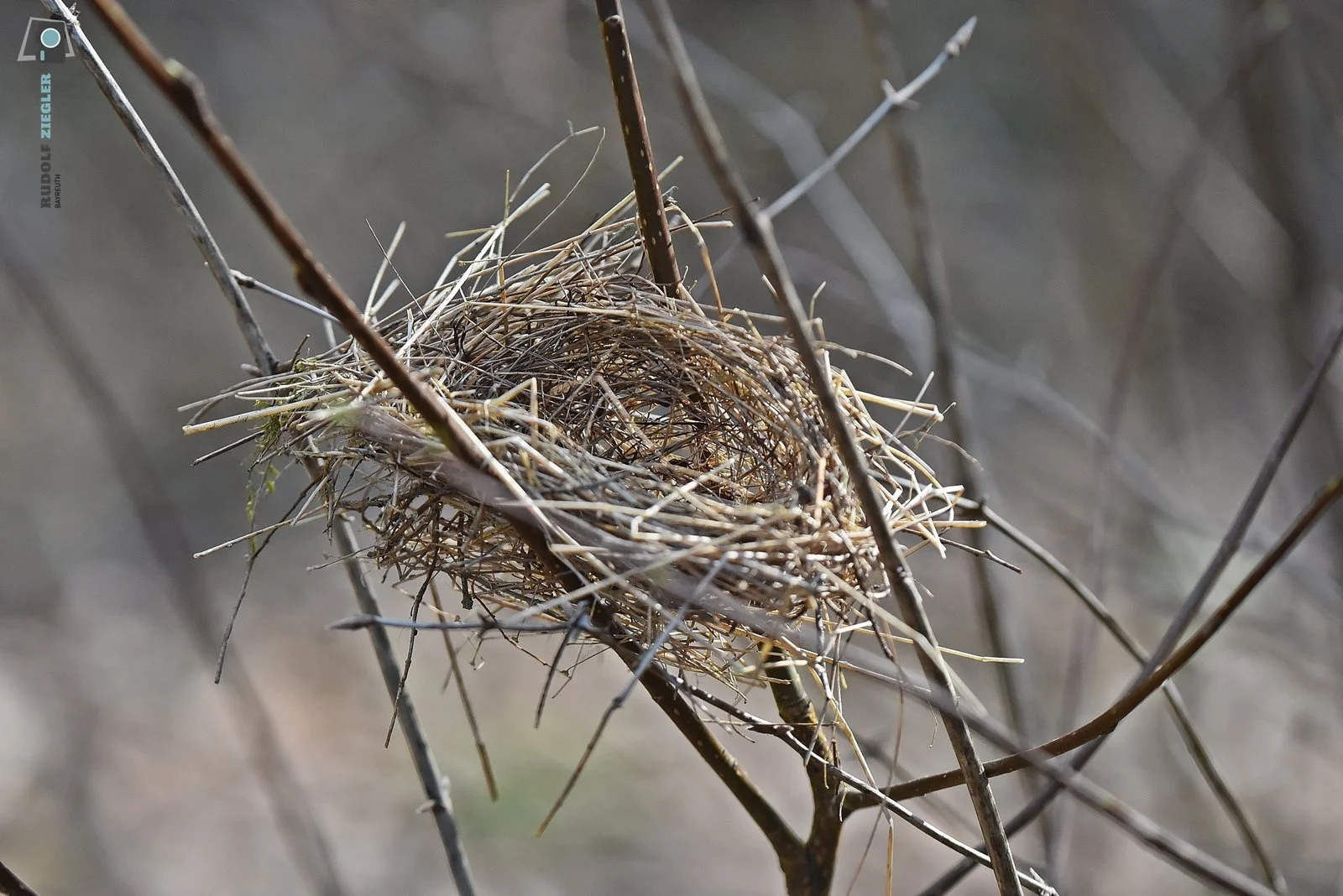 2026-03-01 #rauskopfaus - ÖBG 051-RZL.JPG