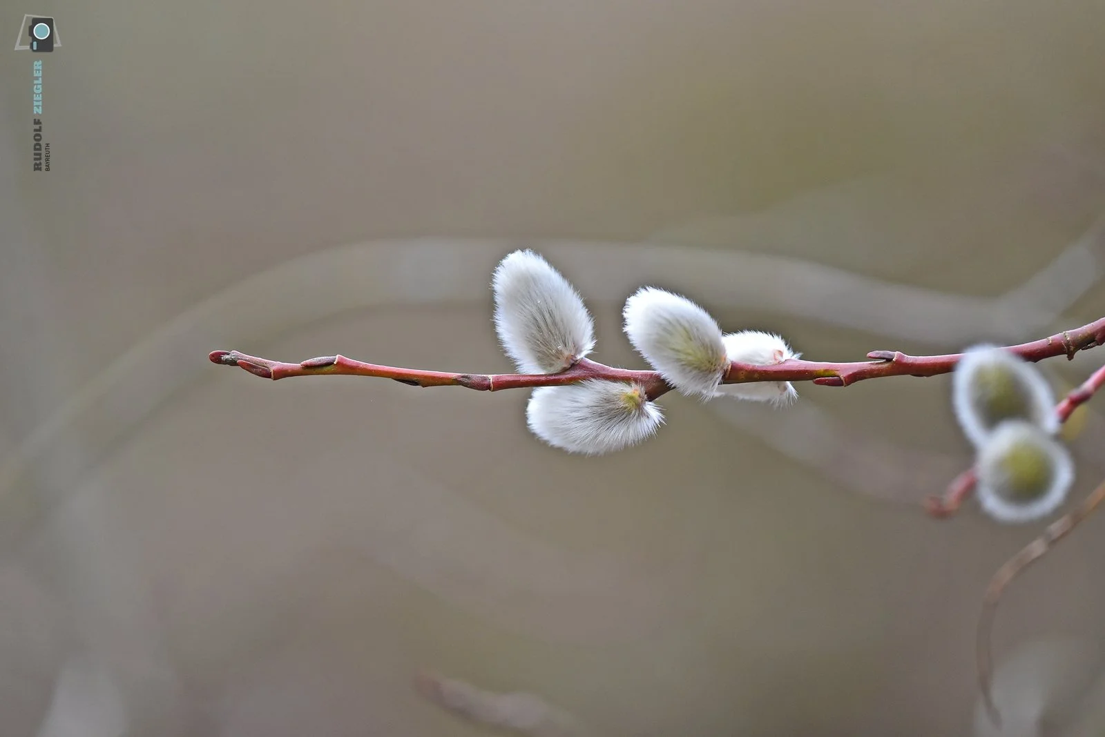 2026-03-01 #rauskopfaus - ÖBG 042-RZL.JPG