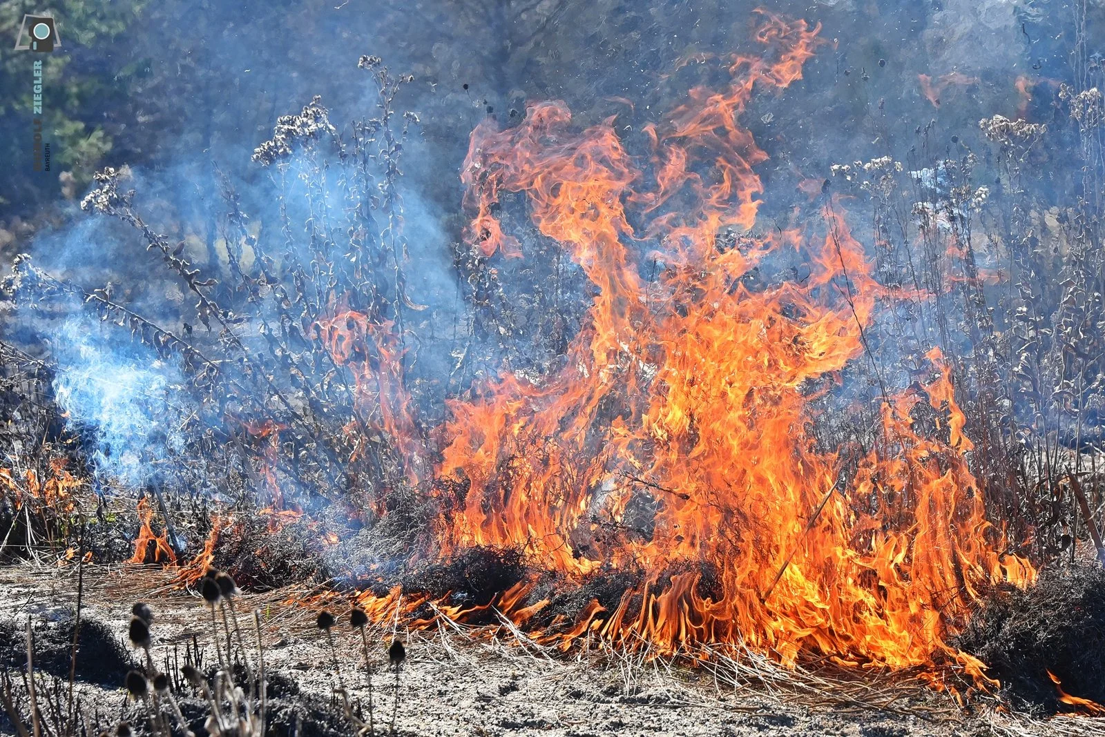 2026-03-02 Prärie brennt - ÖBG 012-RZL.JPG