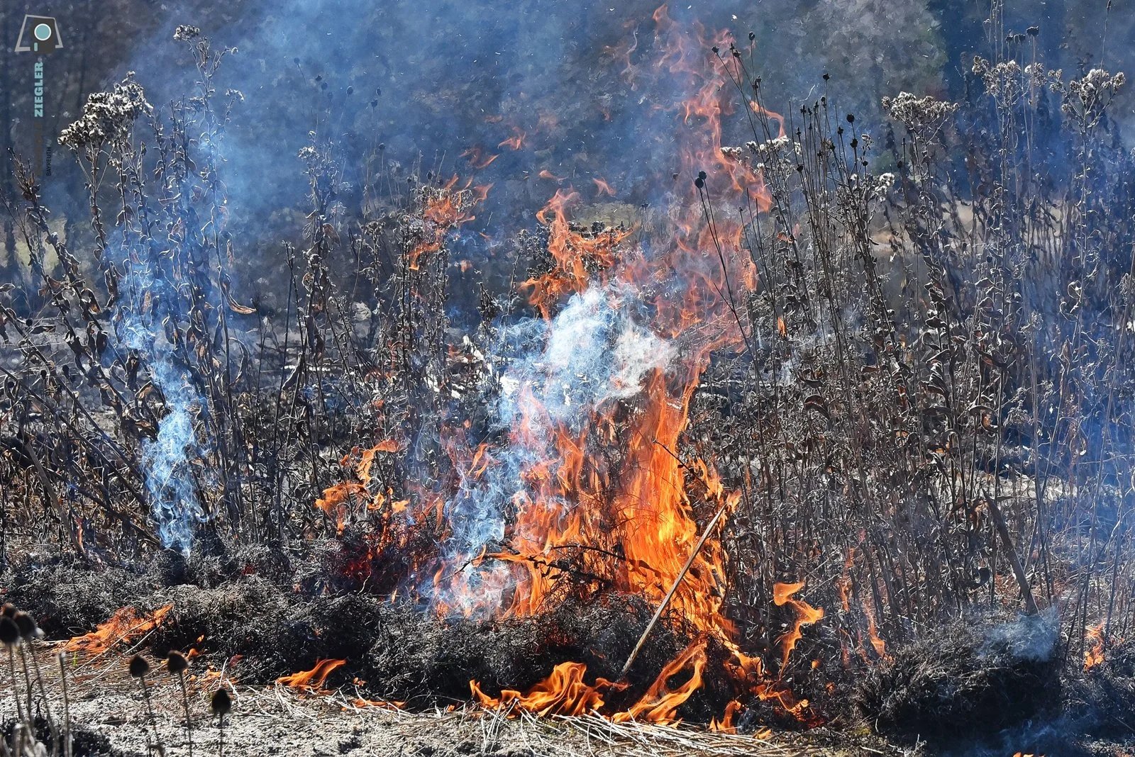 2026-03-02 Prärie brennt - ÖBG 016-RZL.JPG