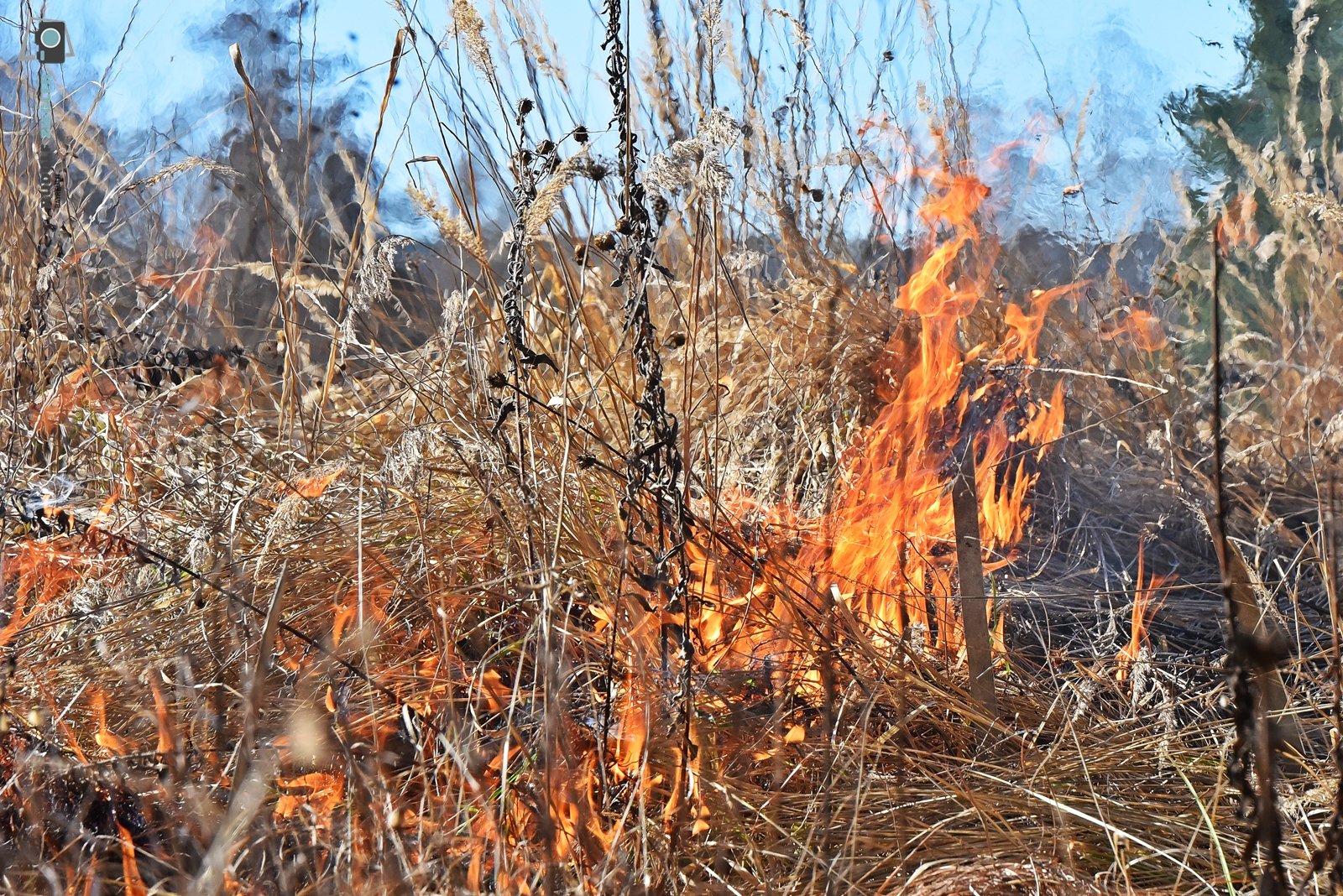 2026-03-02 Prärie brennt - ÖBG 024-RZL.JPG