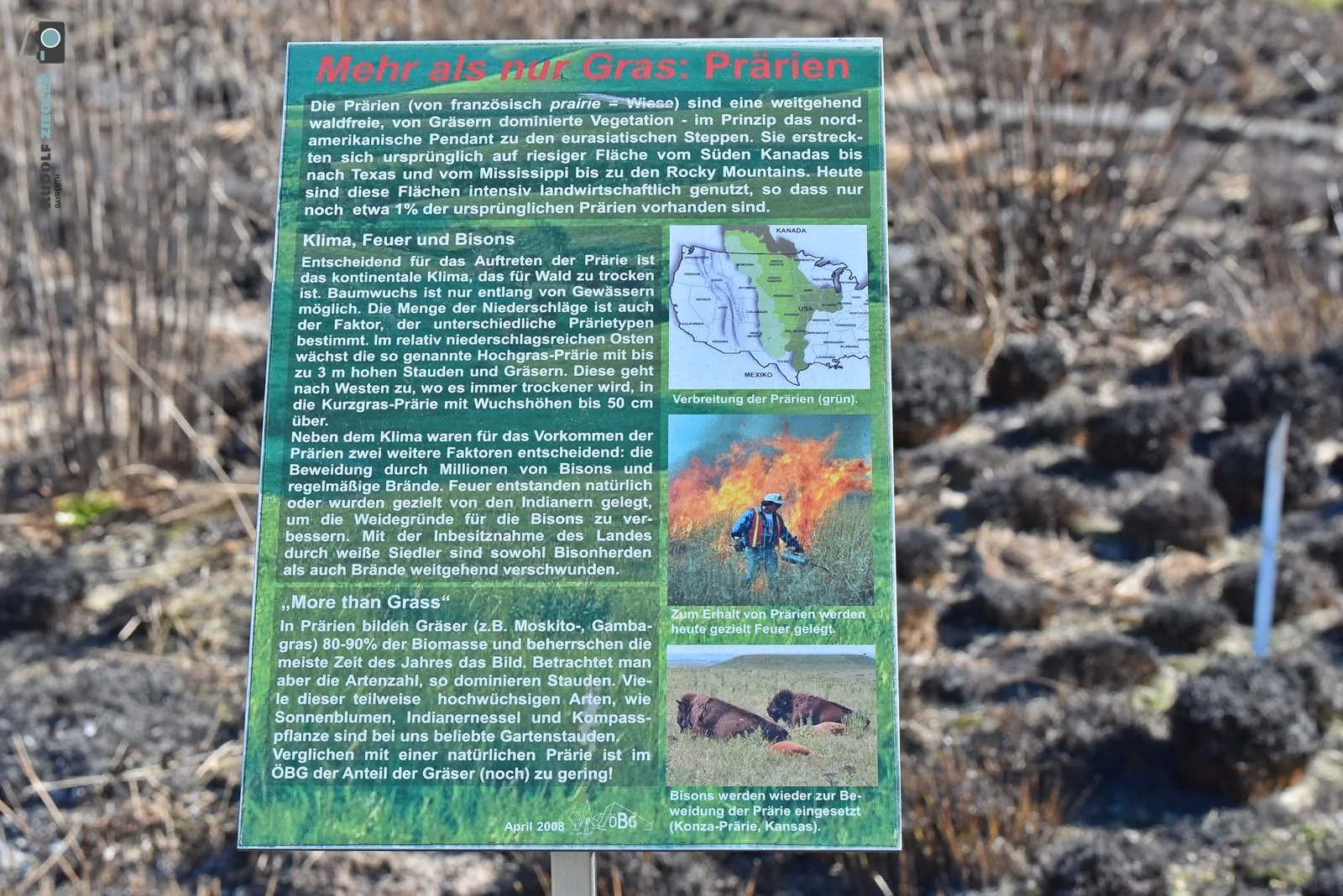 2026-03-02 Prärie brennt - ÖBG 056-RZL.JPG