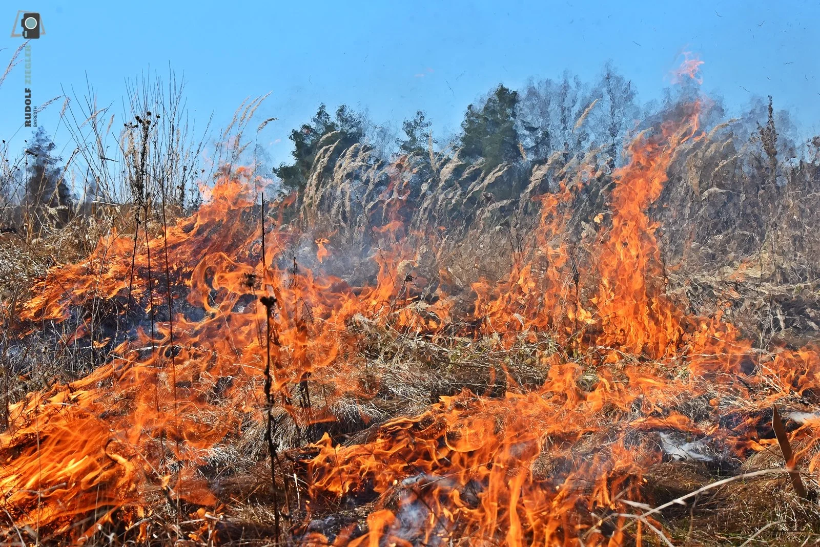 “Prärie brennt im ÖBG!”