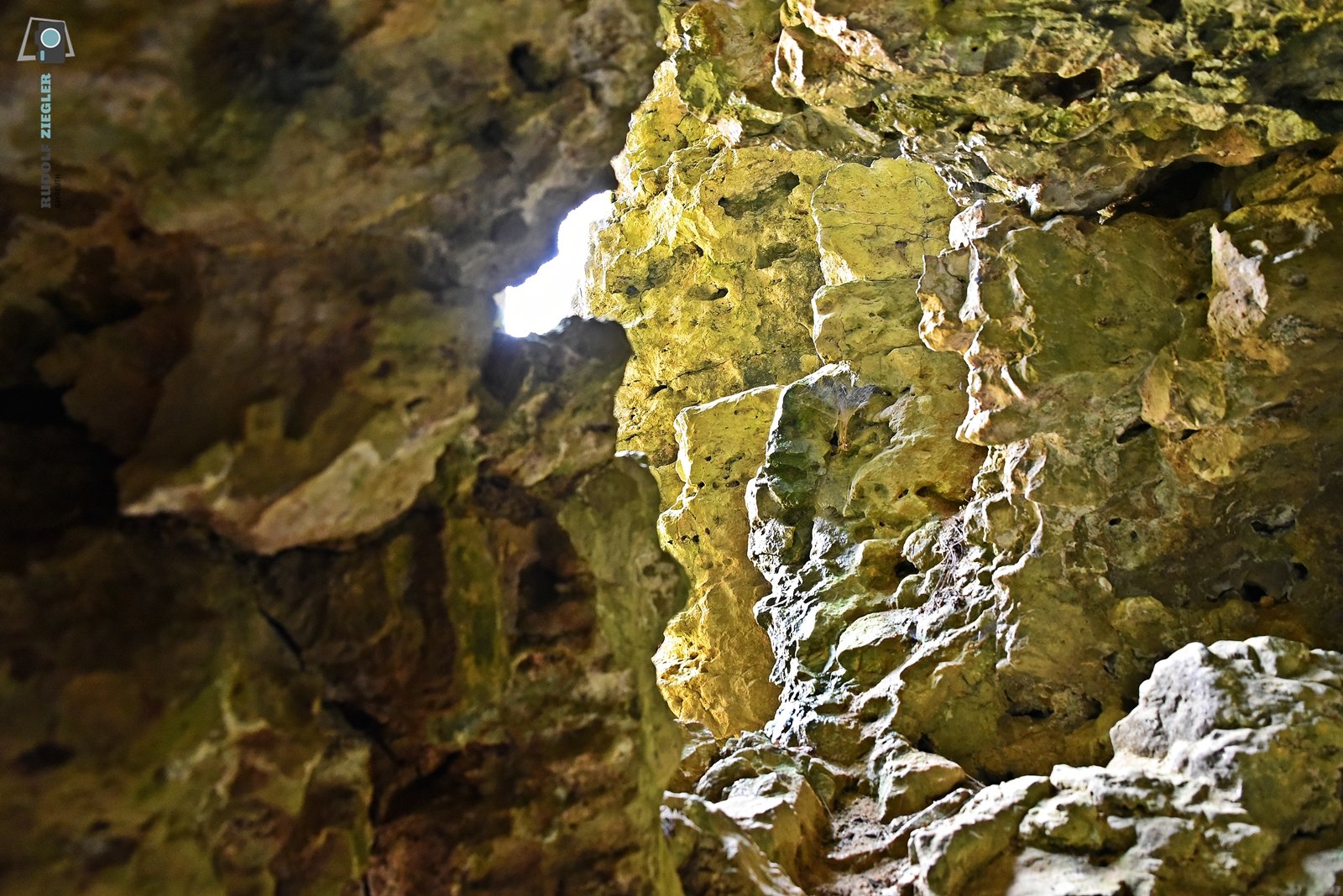 2026-03-09 Naturkraft 016-RZL.JPG