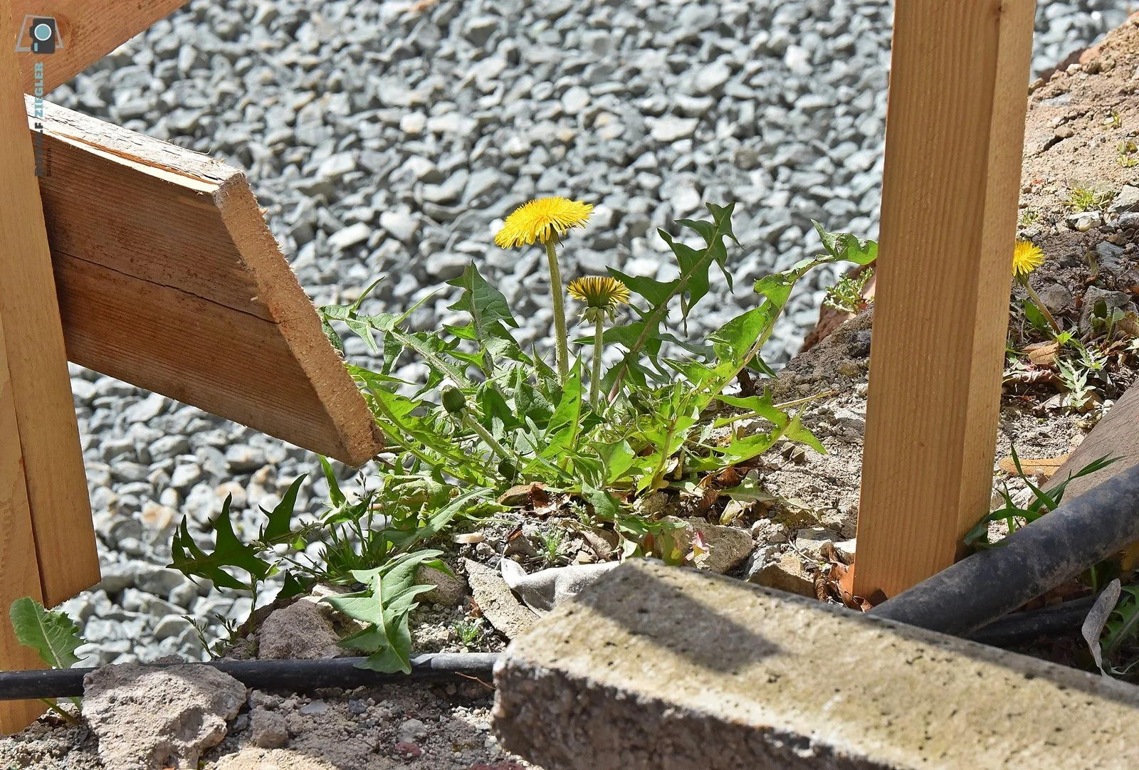 2026-04-09 Kran - Unglück 021-RZL.JPG