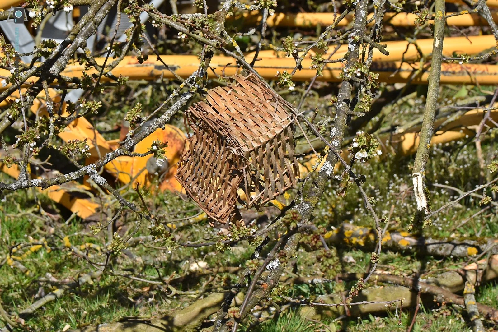 2026-04-09 Kran - Unglück 034-RZL.JPG