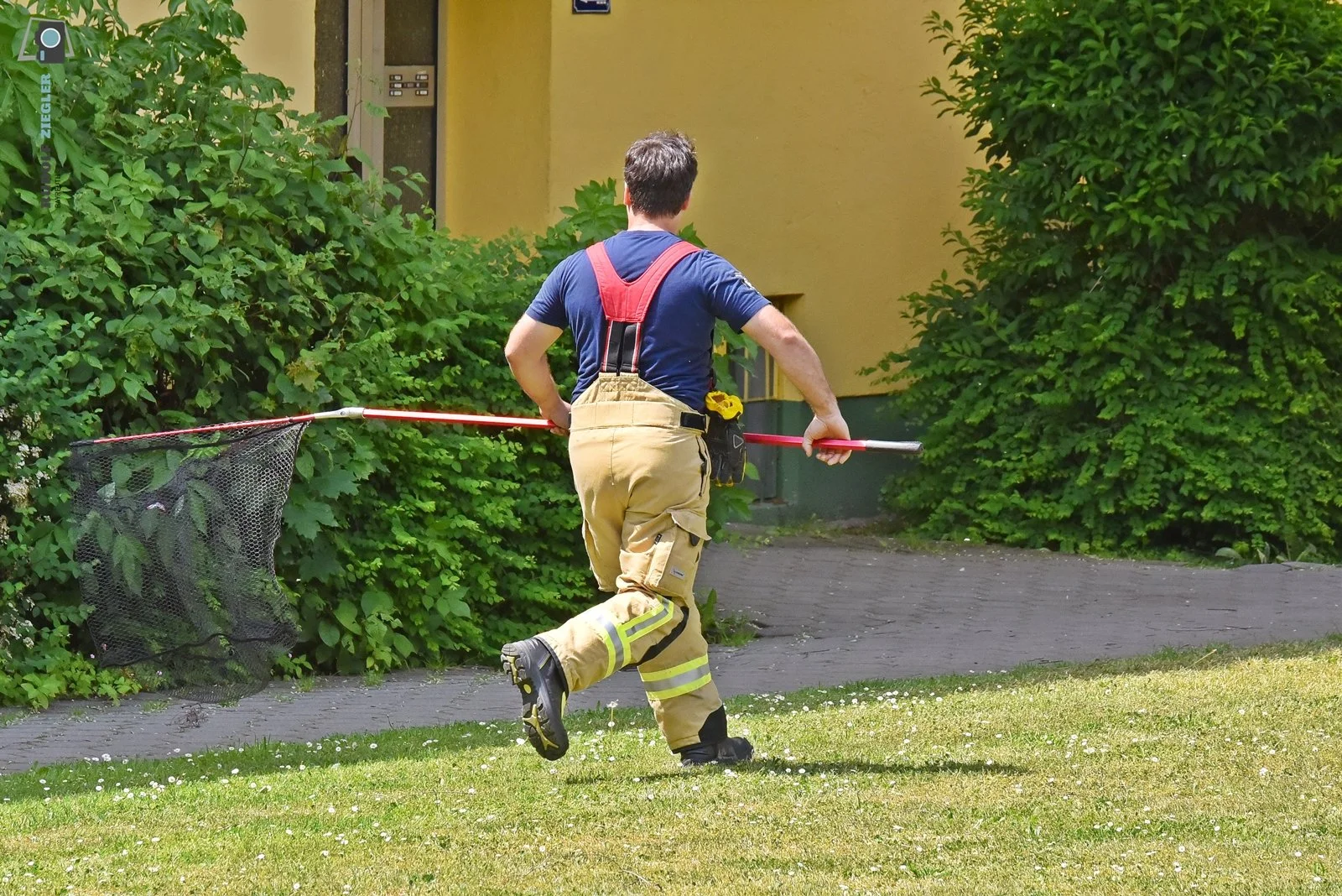 2026-05-30 Tierrettung 001-RZL.JPG