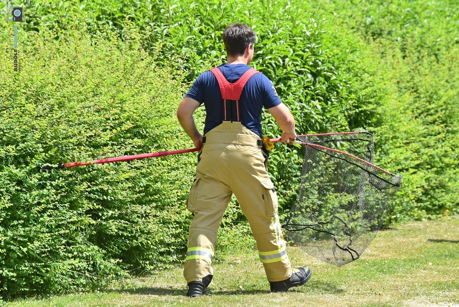 2026-05-30 Tierrettung 011-RZL.JPG