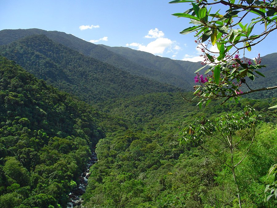 pq-nacional-itatiaia1.jpg