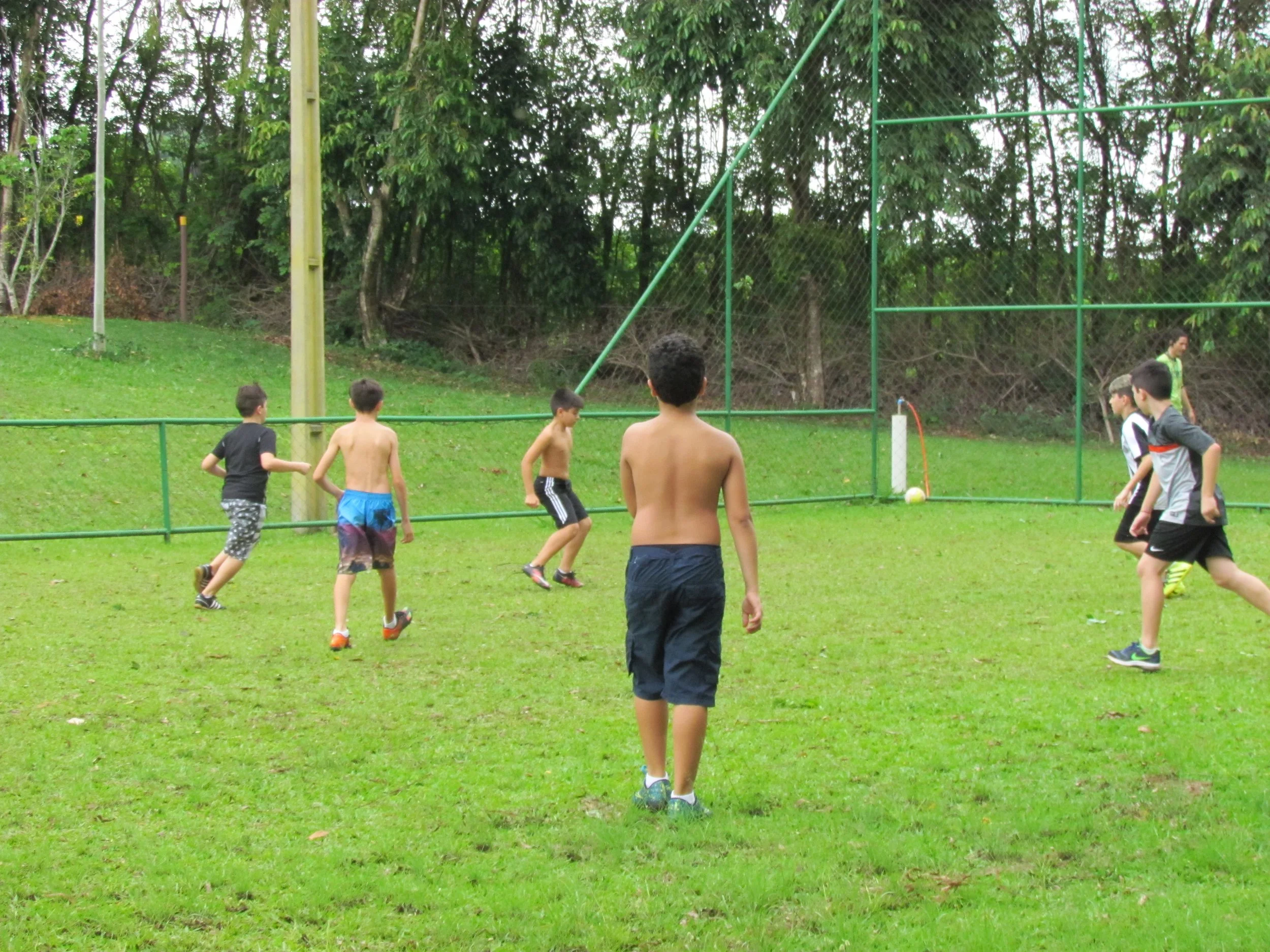Grupo de crianças brincando em um campo gramado, algumas de camiseta e outras sem camisa, com uma cerca verde ao fundo e árvores ao redor.