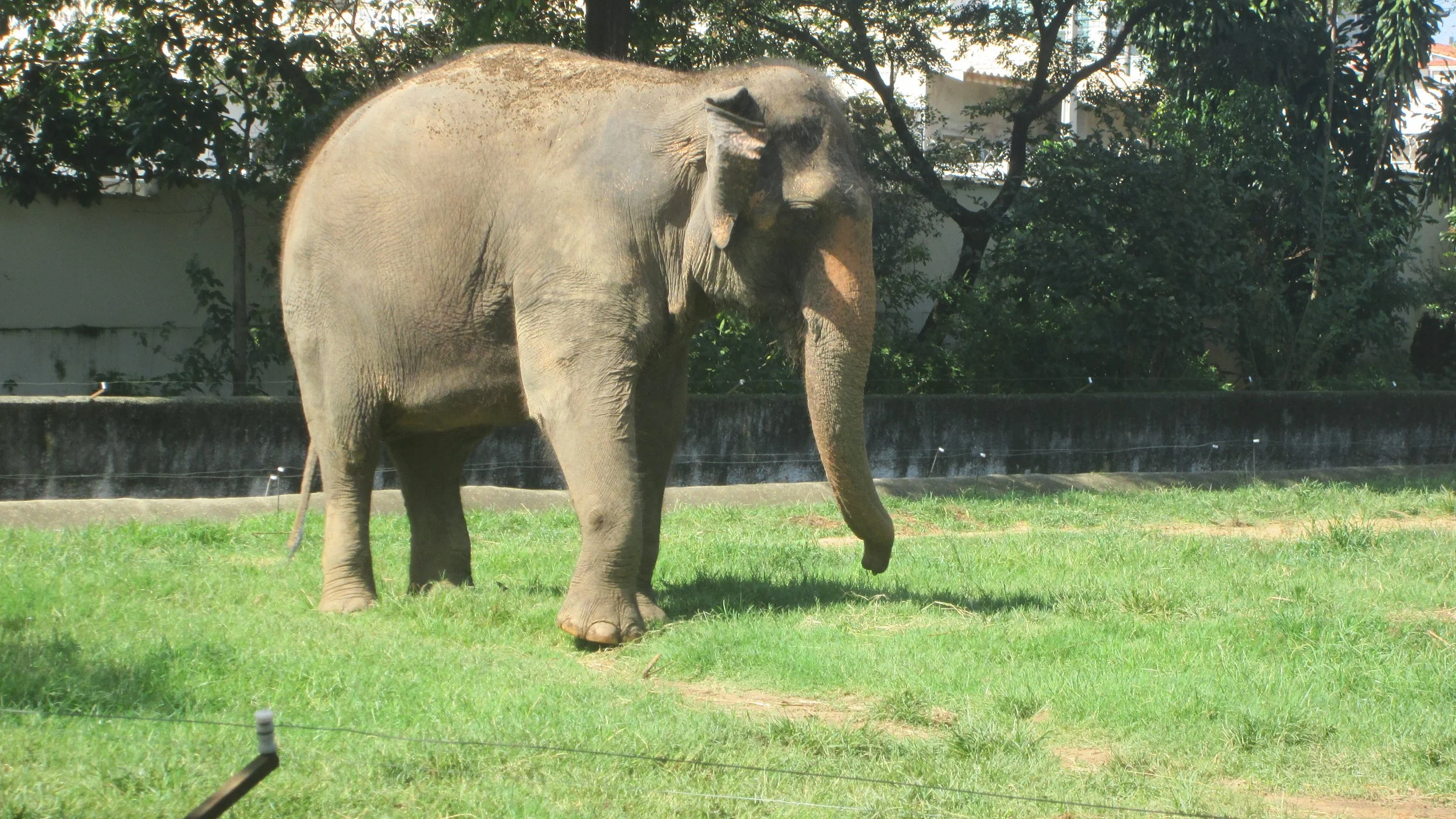 Inovati-Zoo-Sorocaba-01.04.-16-7.jpg