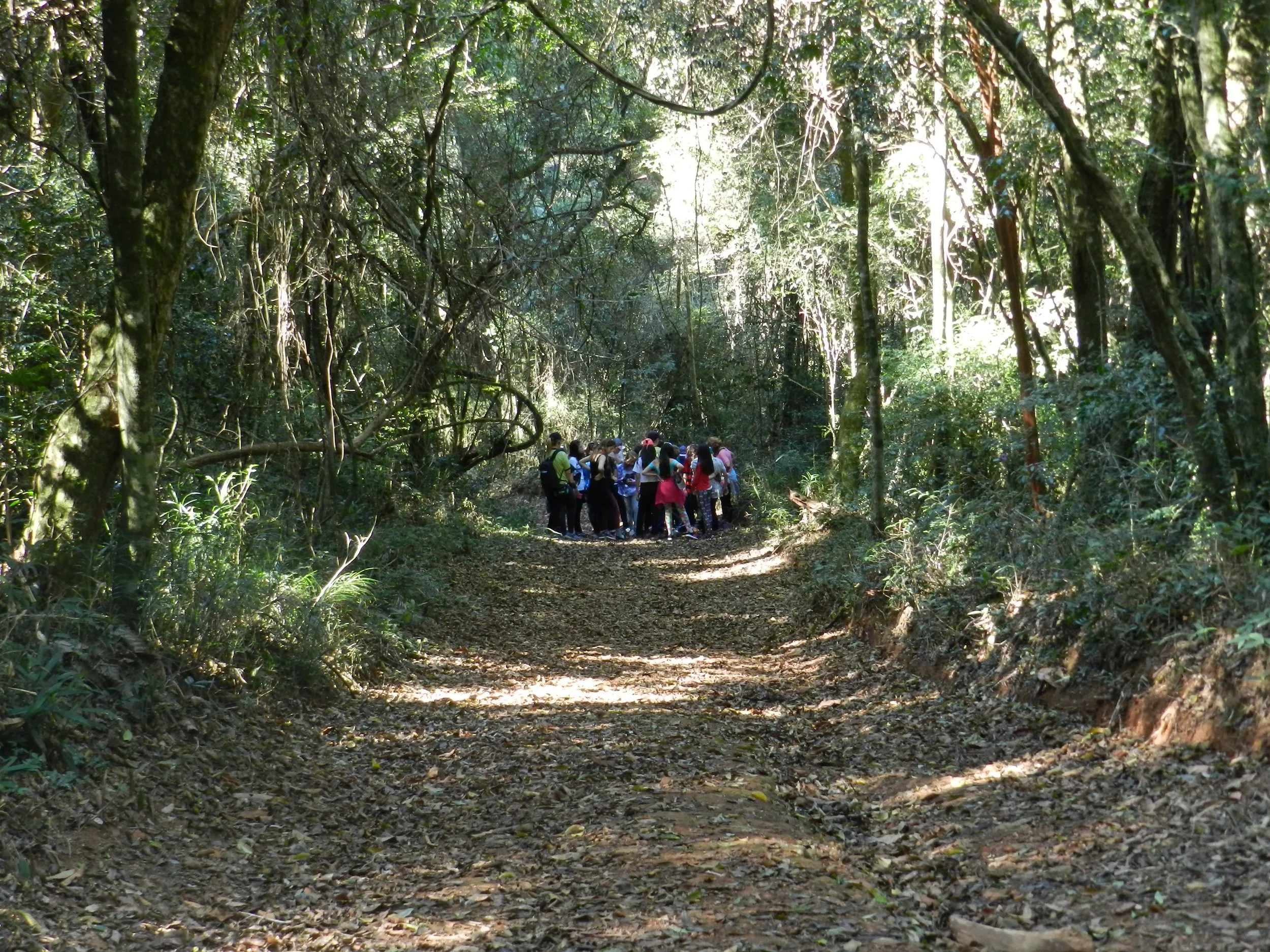 Imaculada-Faz.-Guaxinduva-31.08.-18-68.jpg