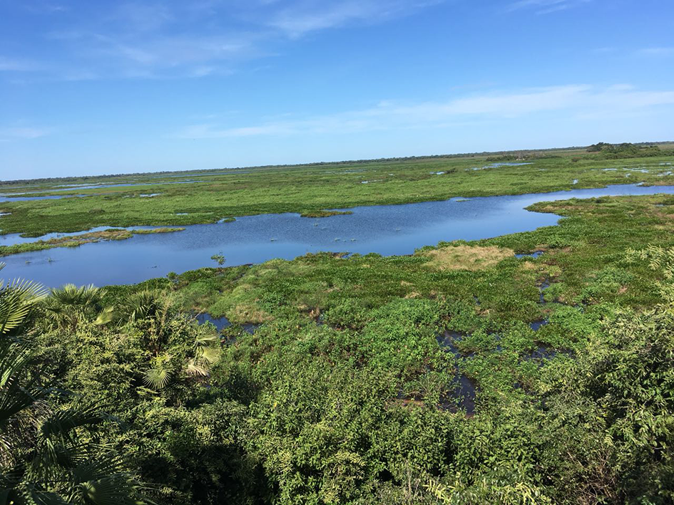 pantanalchapada03.png