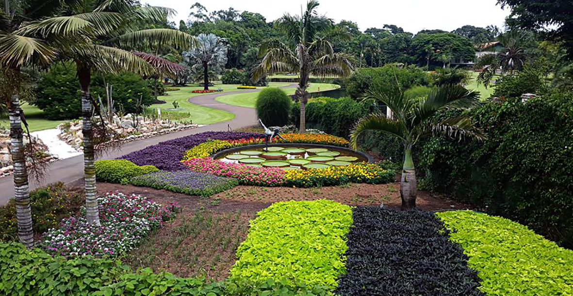 plantarum08.png