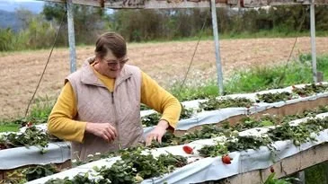 agro_nacional_-_fazenda_santa_adelaide.jpg