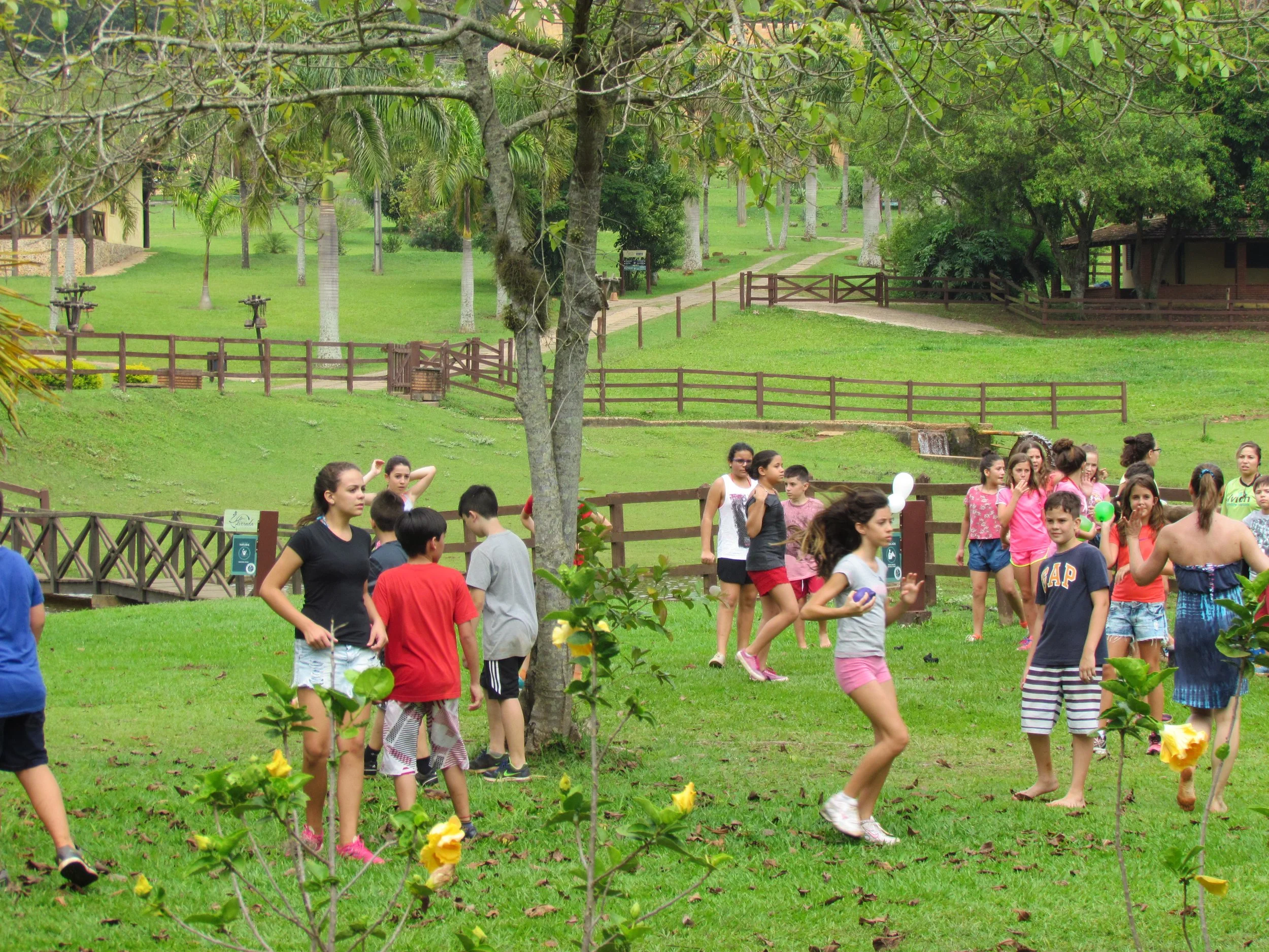 Vários adolescentes e jovens caminhando e brincando em um parque com gramado verde, árvores e uma cerca de madeira ao fundo.