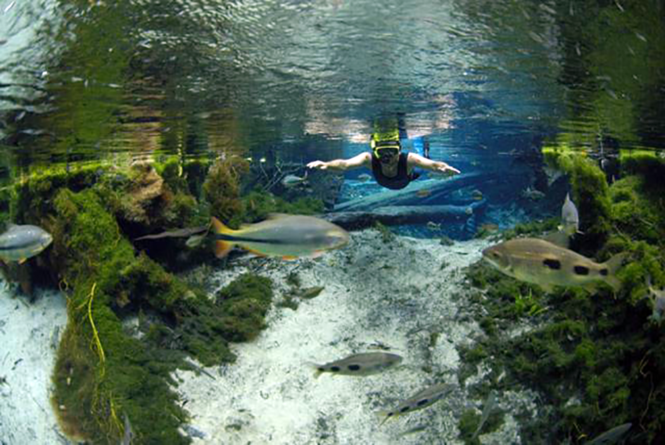 pantanalchapada07.png