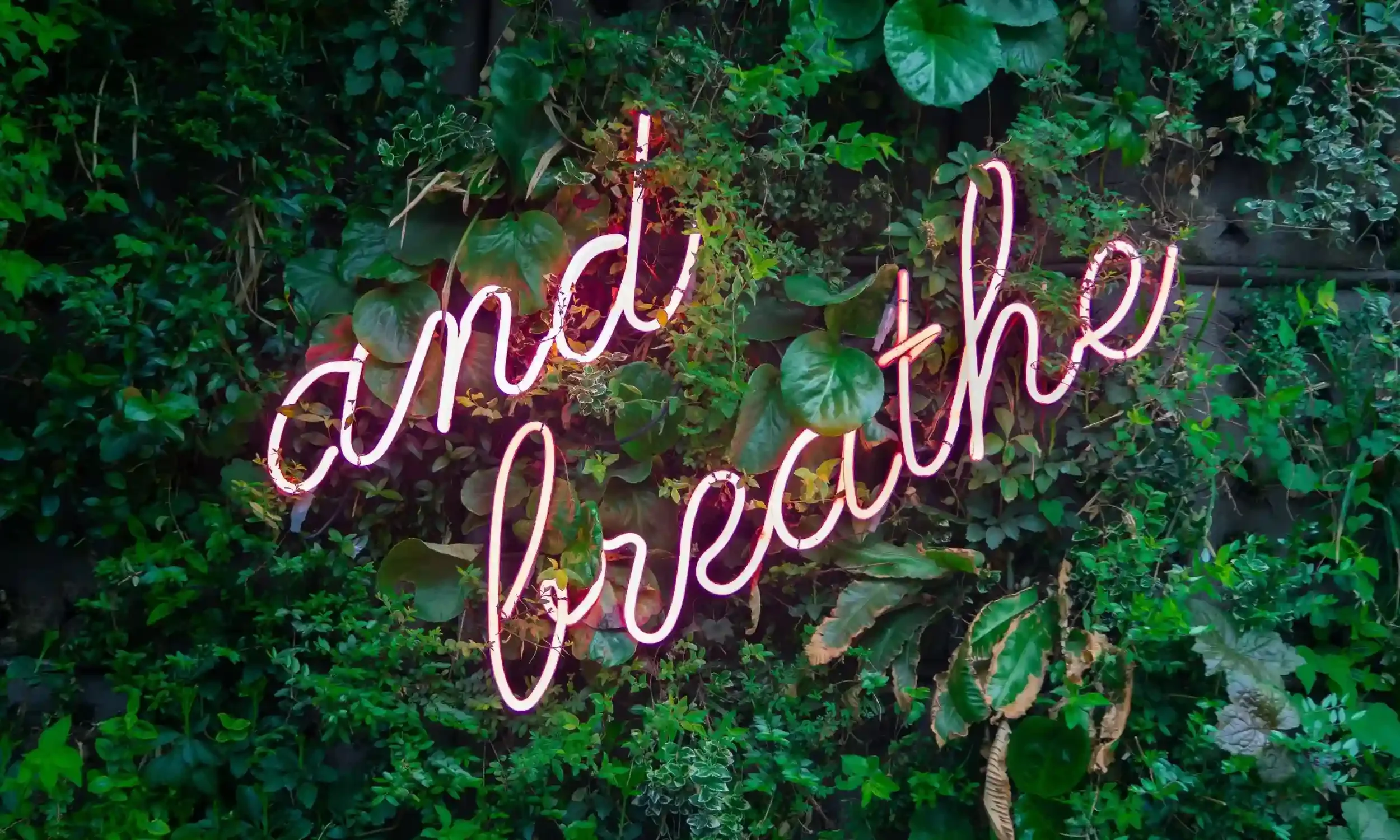 Neon sign saying And Breathe with calming green background encouraging reflection and emotional wellbeing for stress and anxeity symptoms and hypnotherapy and life coaching for stress.