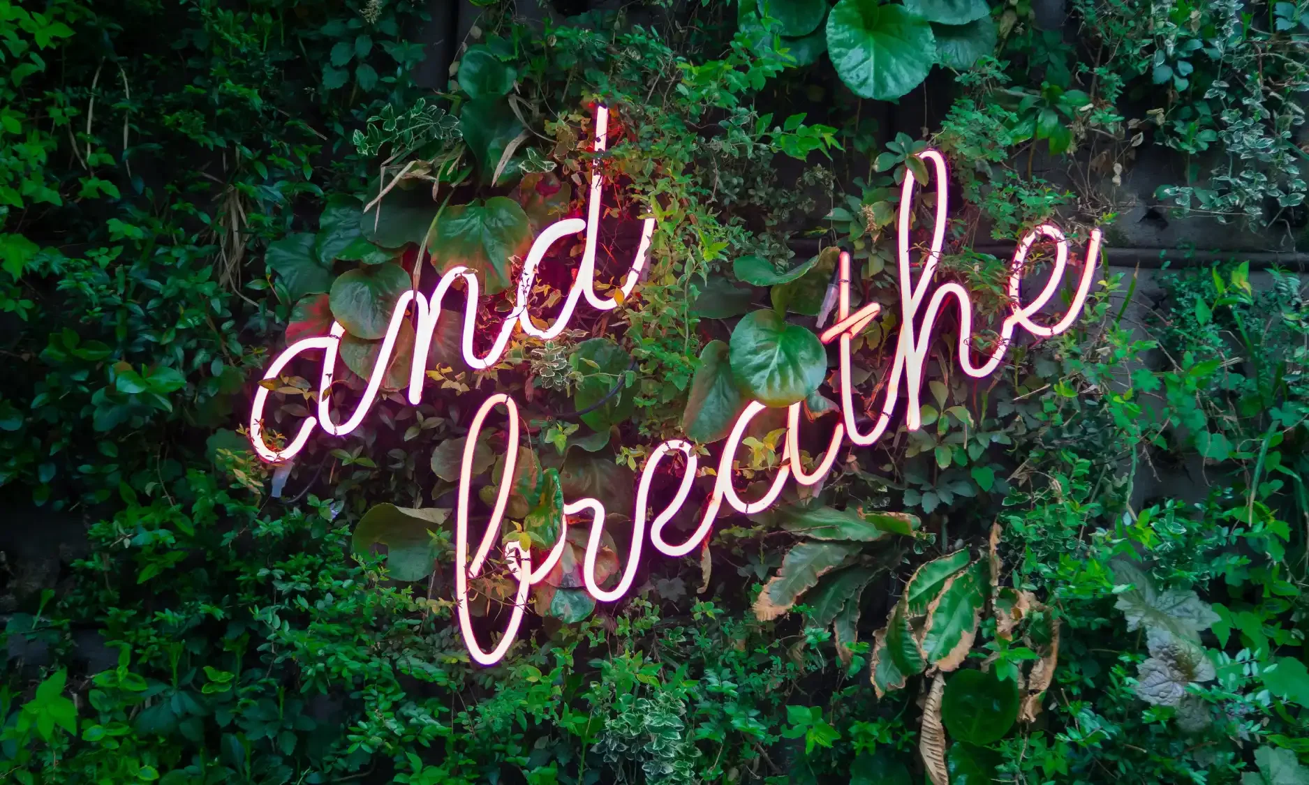 Neon sign reading "and breathe" against green foliage.