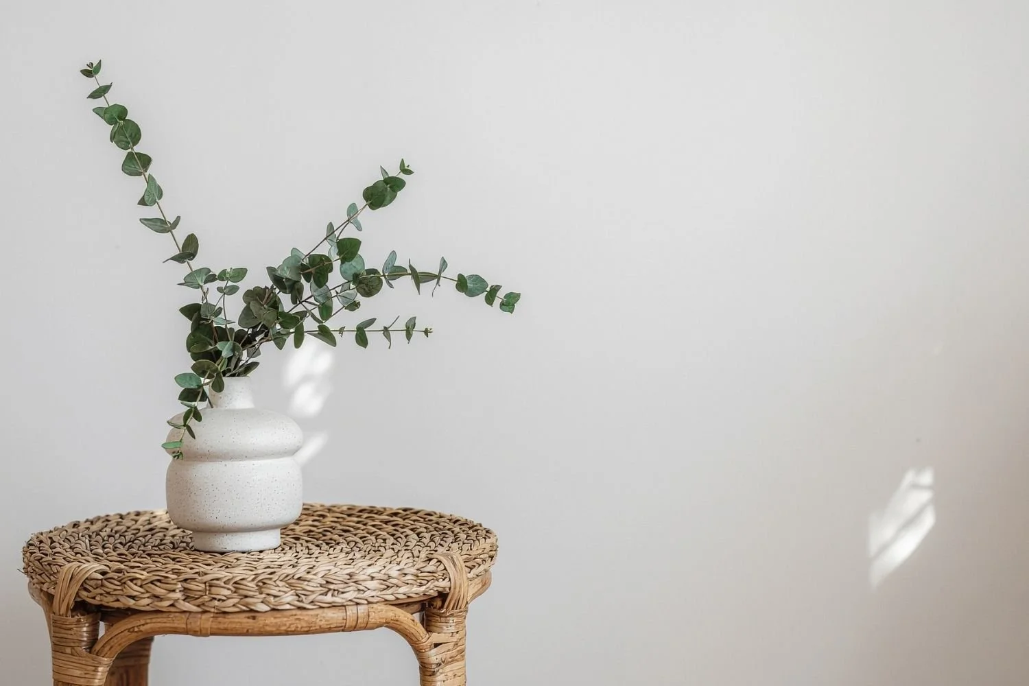 A minimal, calm interior with green leafy plant in a stone vase, representing evidence-based Cognitive Behavioural Hypnotherapy for high-functioning anxiety and stress.