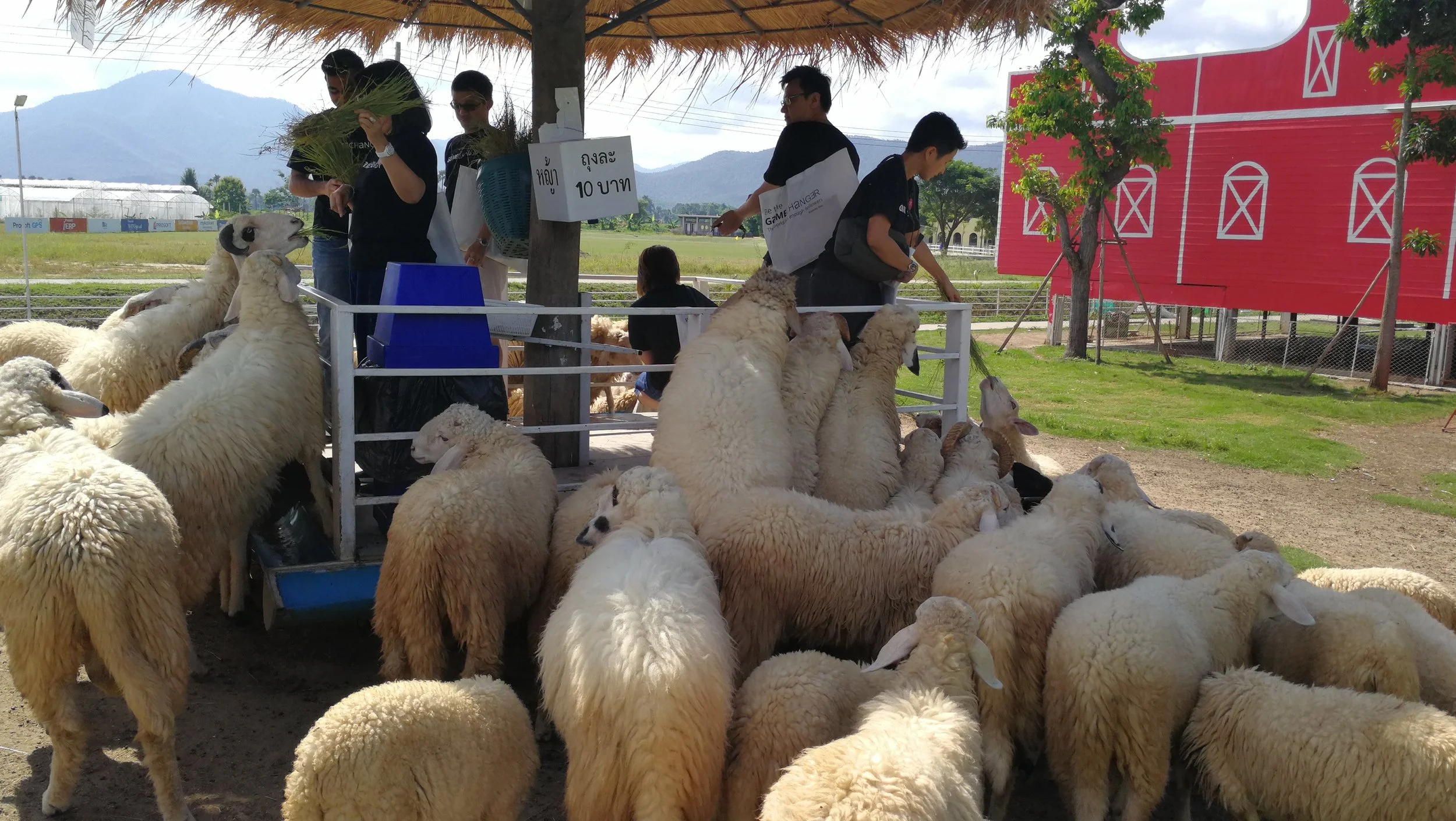 2017-08-04 09.44.51.jpg