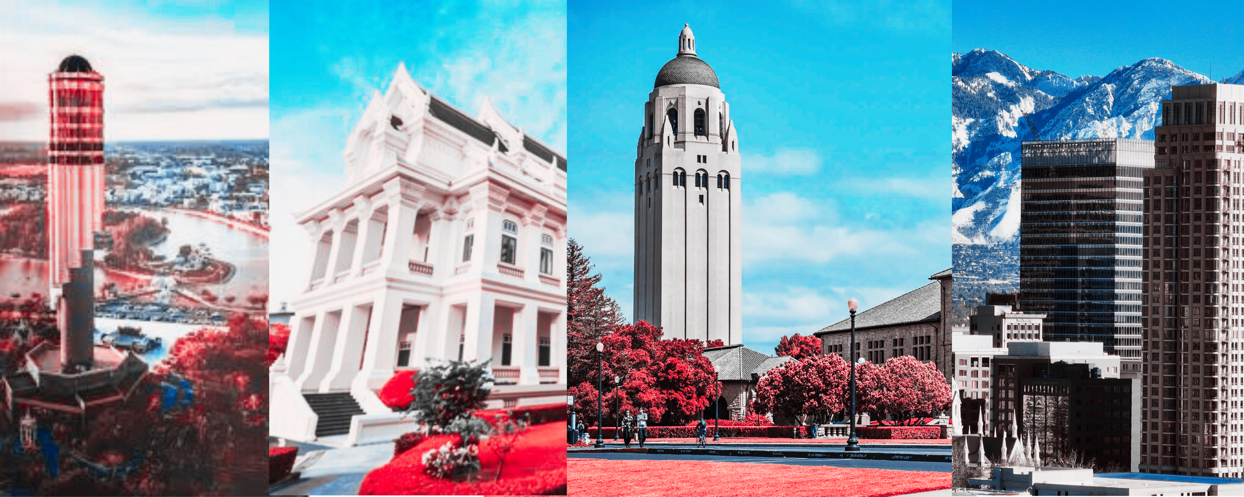 about Tookta, Experience Designer