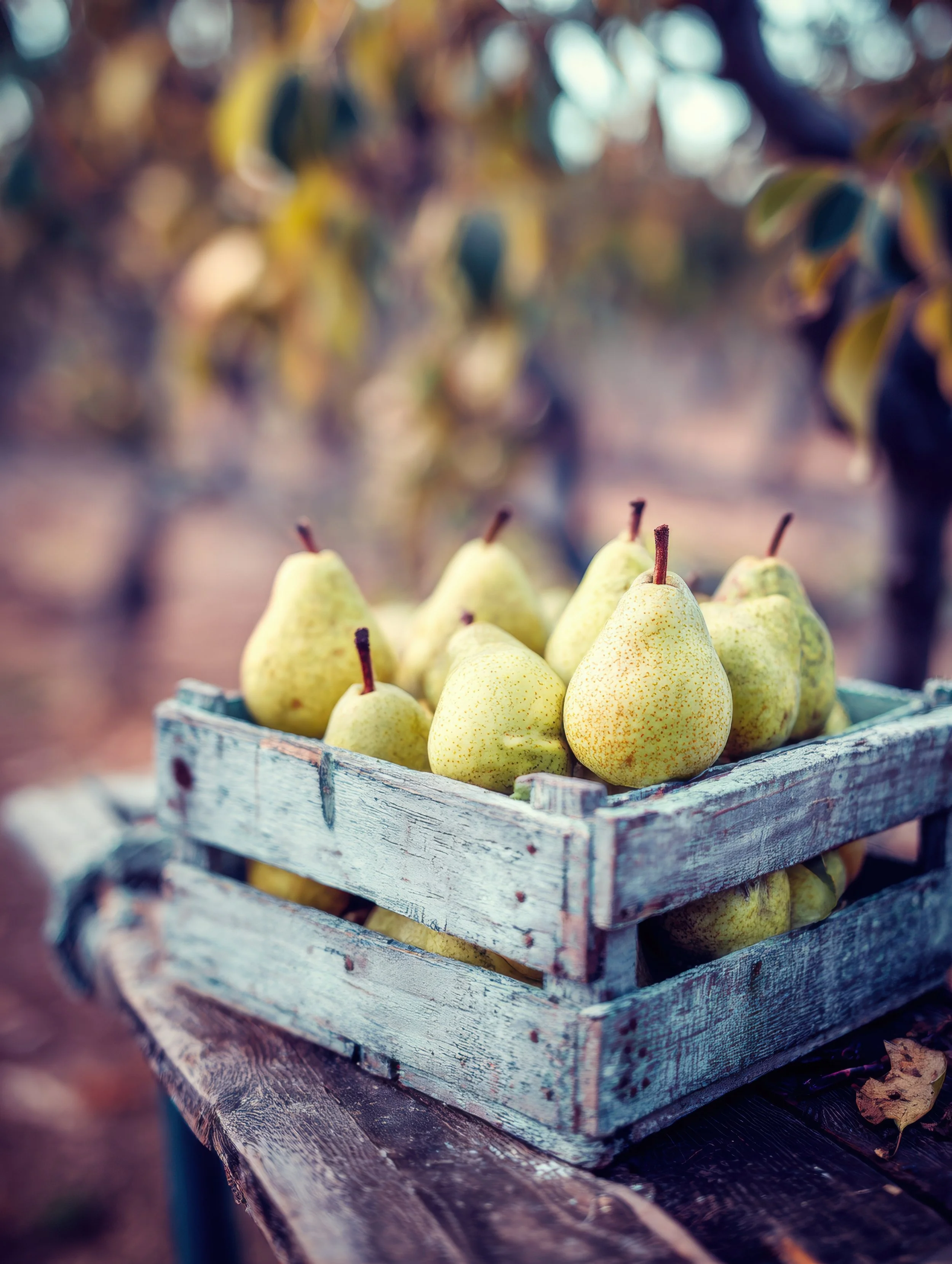 Weekend In Maui.jpeg