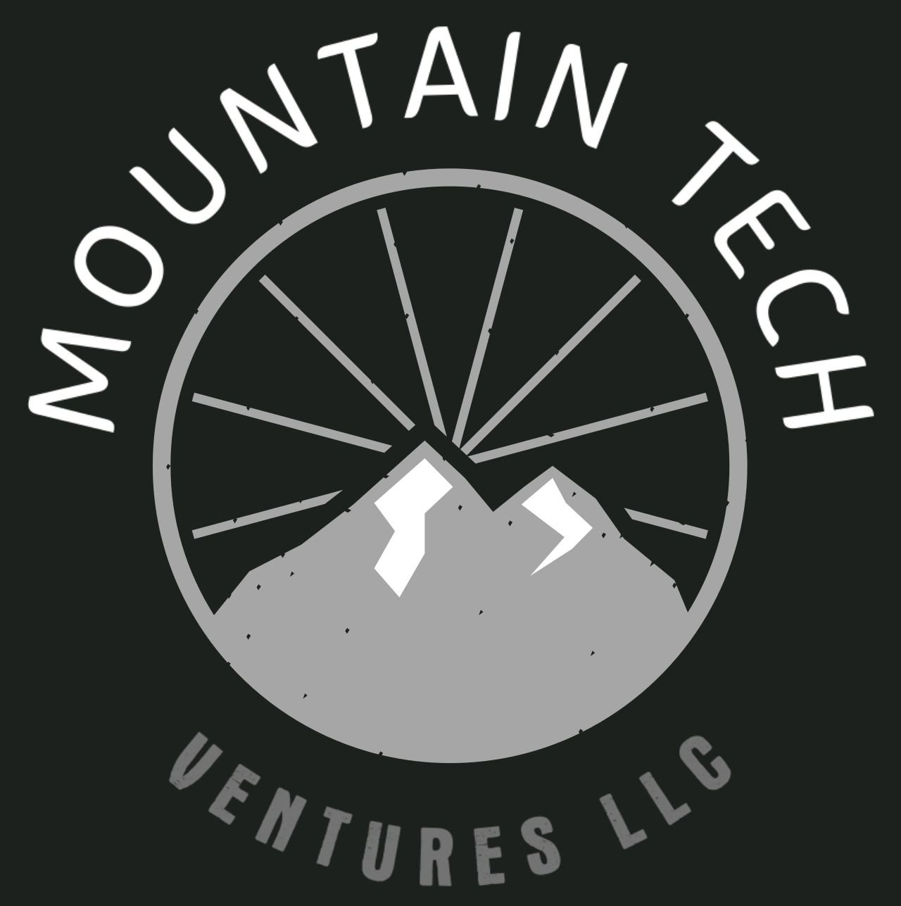 MT Ventures LLC
