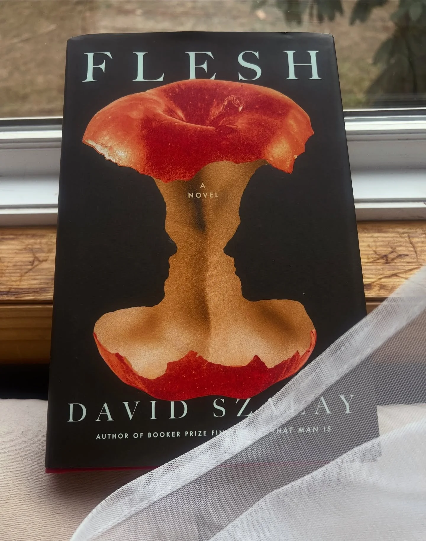 Back to your regularly scheduled Bookstagramming&hellip;time to see what all the fuss is about #bookerprize #flesh #novel #author #writing