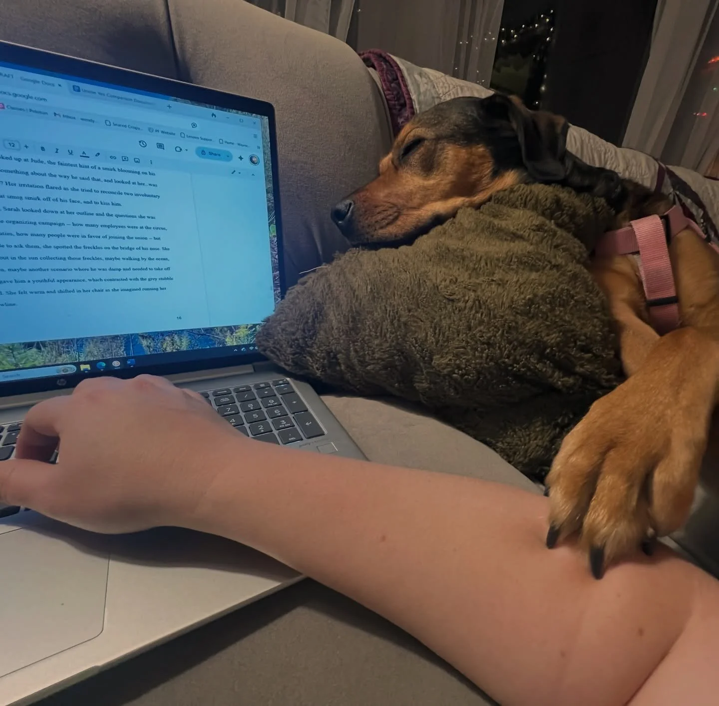 Sit. Stay. Write. 
(Are two dog posts in a row too many? I will happily make this my entire grid if it works for you)