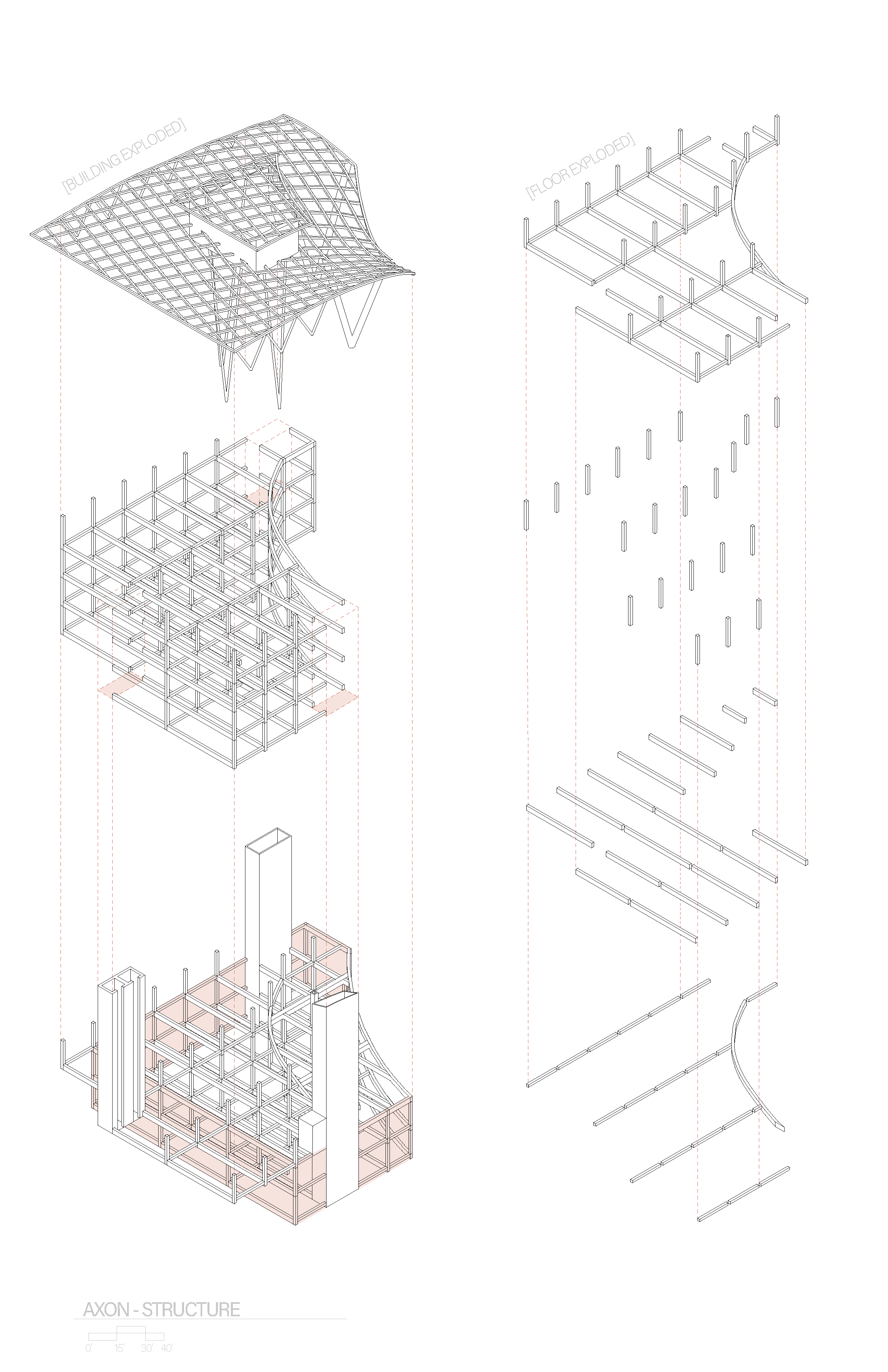 FINAL STRUCTURE AXON.png