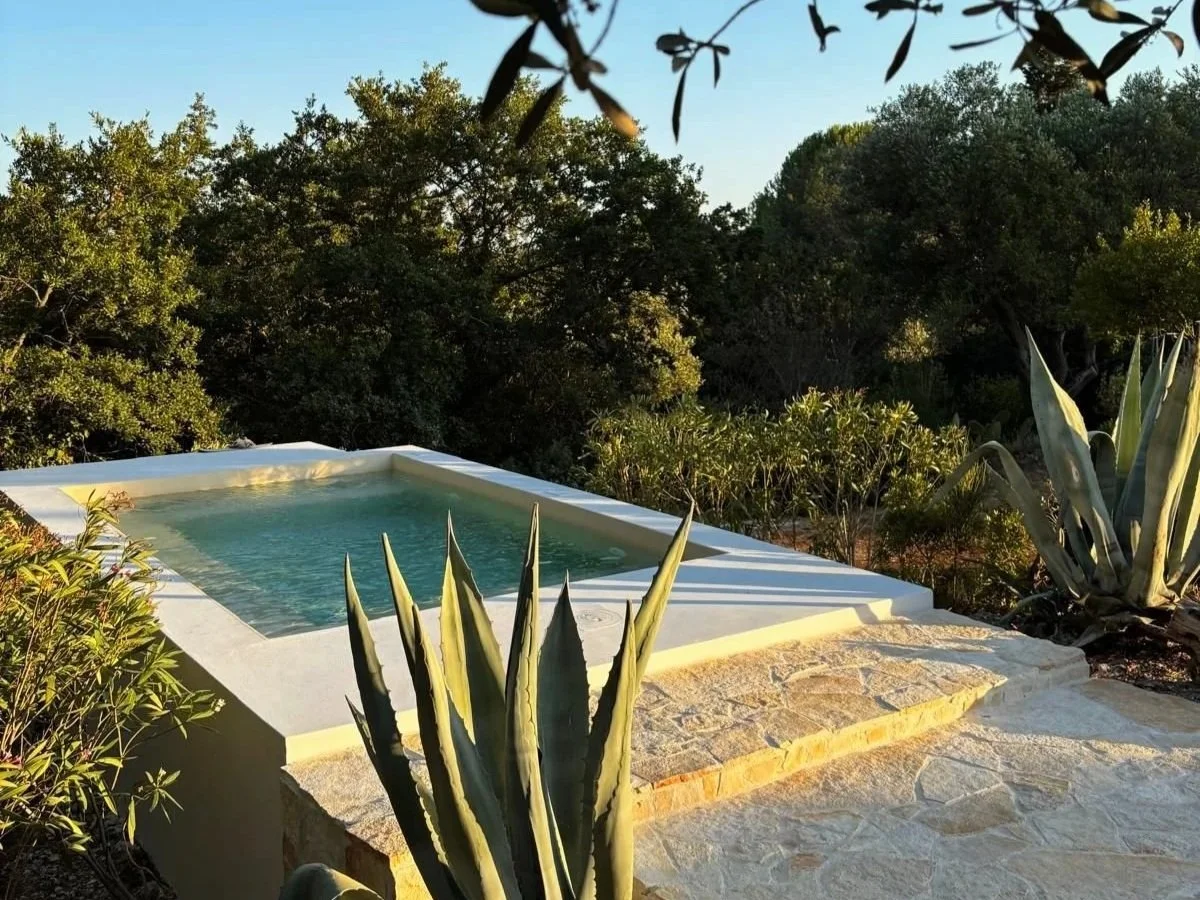 Een klein zwembad op een terras omgeven door planten en struiken, met een achtergrond van bomen en een heldere blauwe lucht.