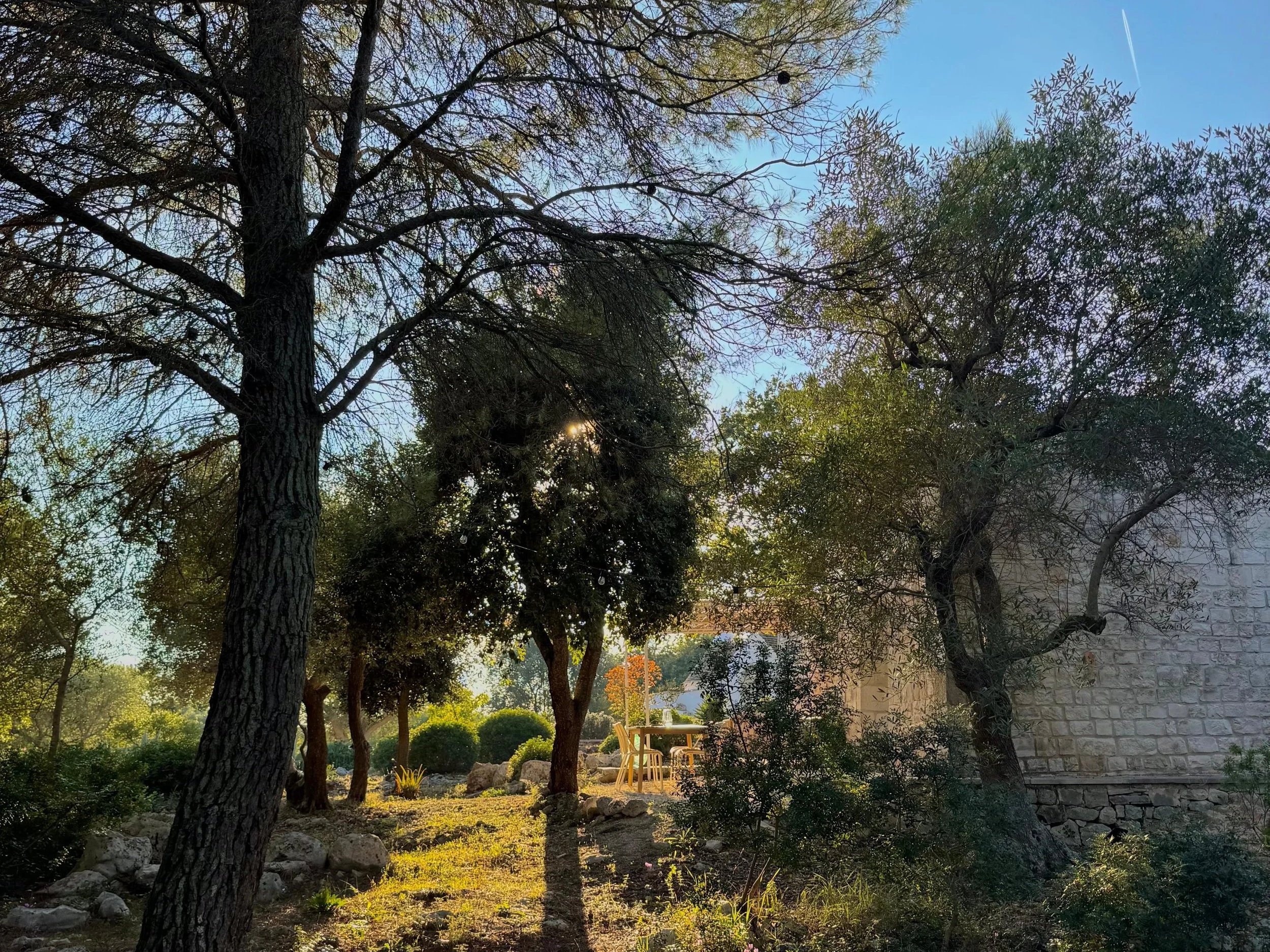 Een rustige tuin met verschillende bomen en een zithoek met tafels en stoelen, omgeven door groen en natuurlijke elementen.