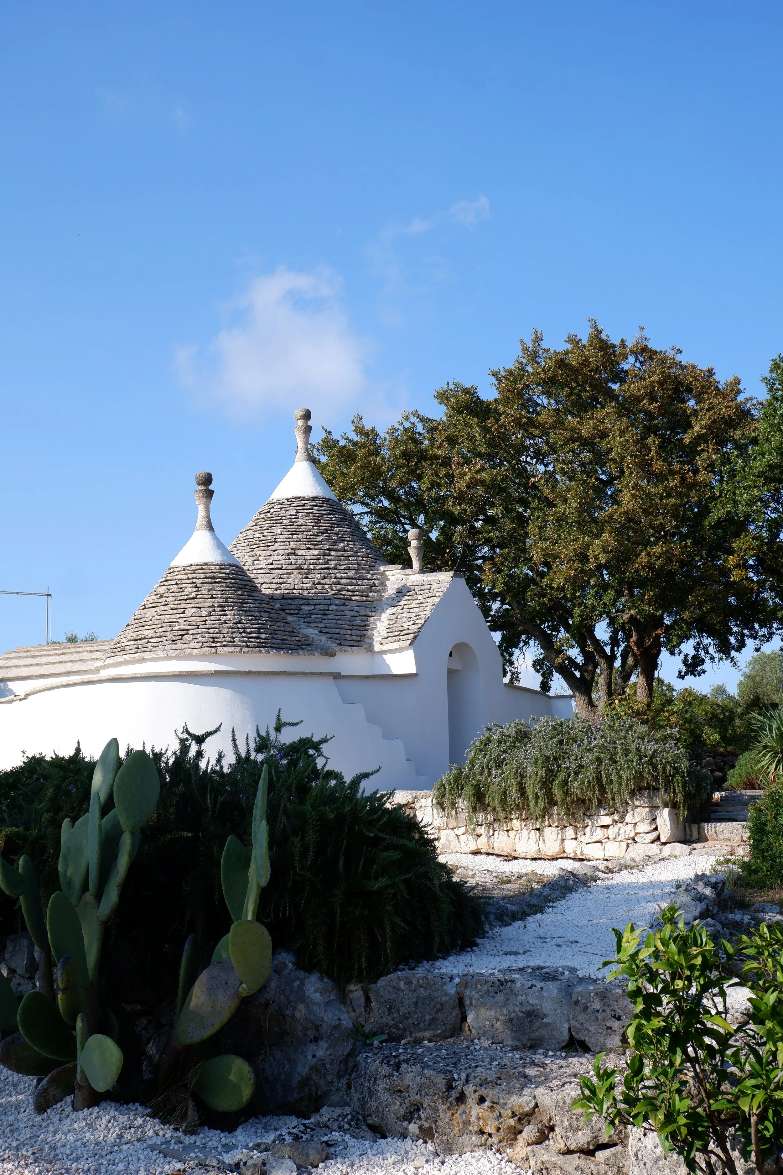 Een witte trullo (traditioneel Italiaans huis) met kegelvormige daken, omgeven door groene planten en een blauwe lucht.