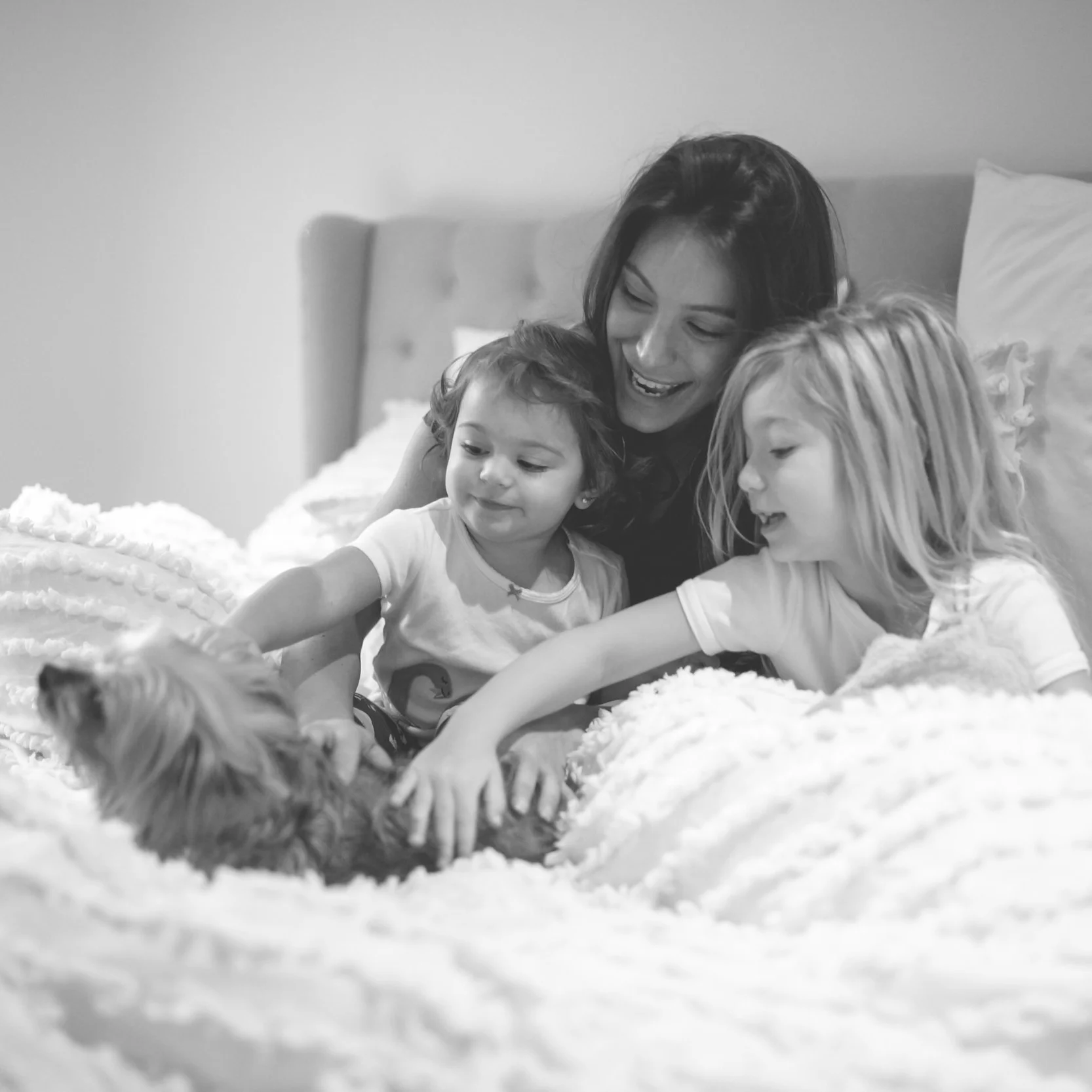 A vision becoming reality