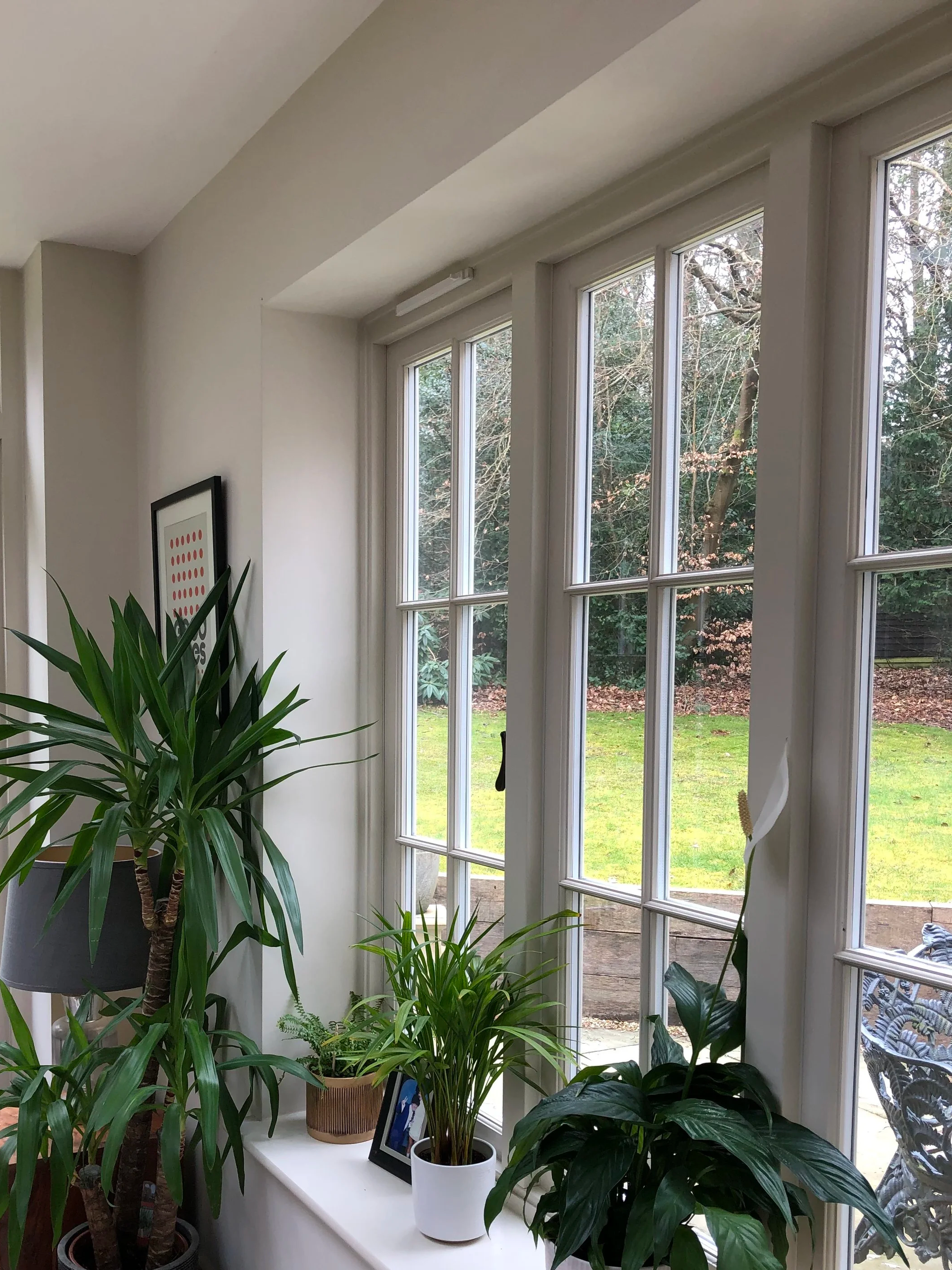 Interior of a room with large windows overlooking a yard, decorated with potted plants and framed artwork.