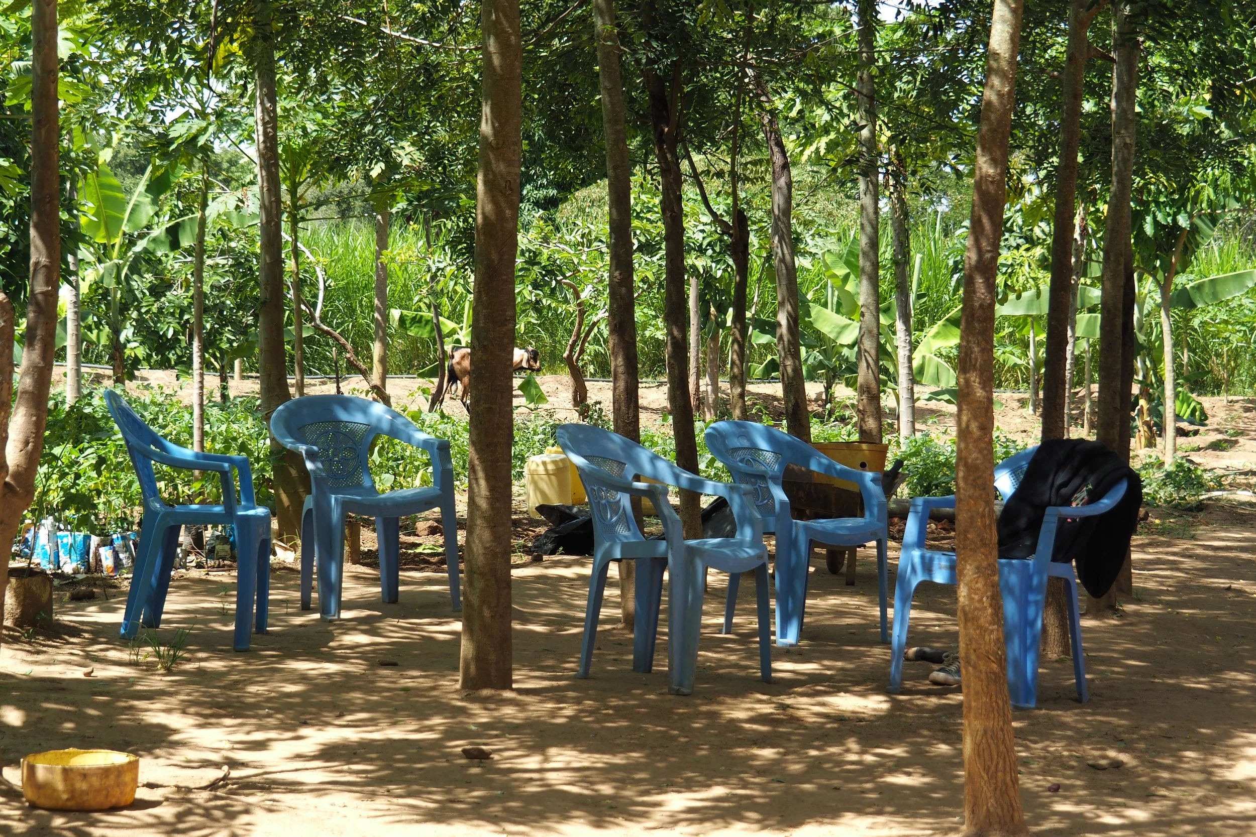 6 — 2022 Treffpunkt unter den Bäumen