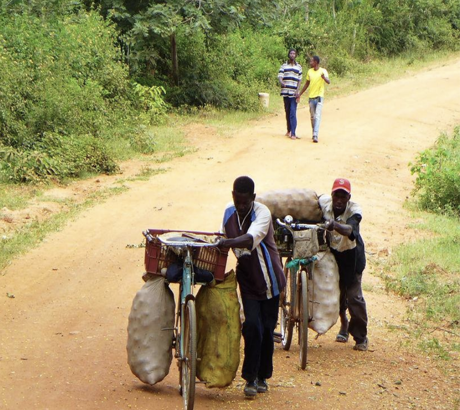 Zwei Männer schieben Fahrräder mit Gepäck auf einer unbefestigten Straße im Grünen, im Hintergrund laufen zwei weitere Menschen.