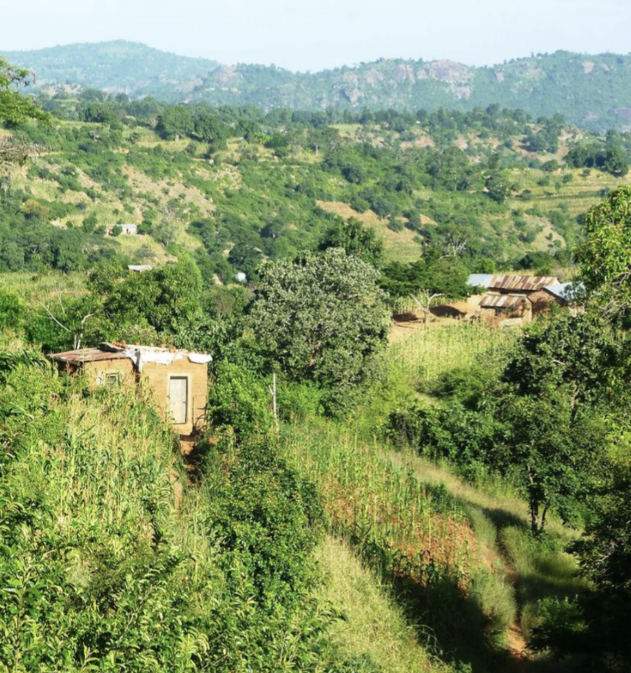 Landschaft mit grünen Hügeln, Bäumen, Feldern und kleinen Häusern