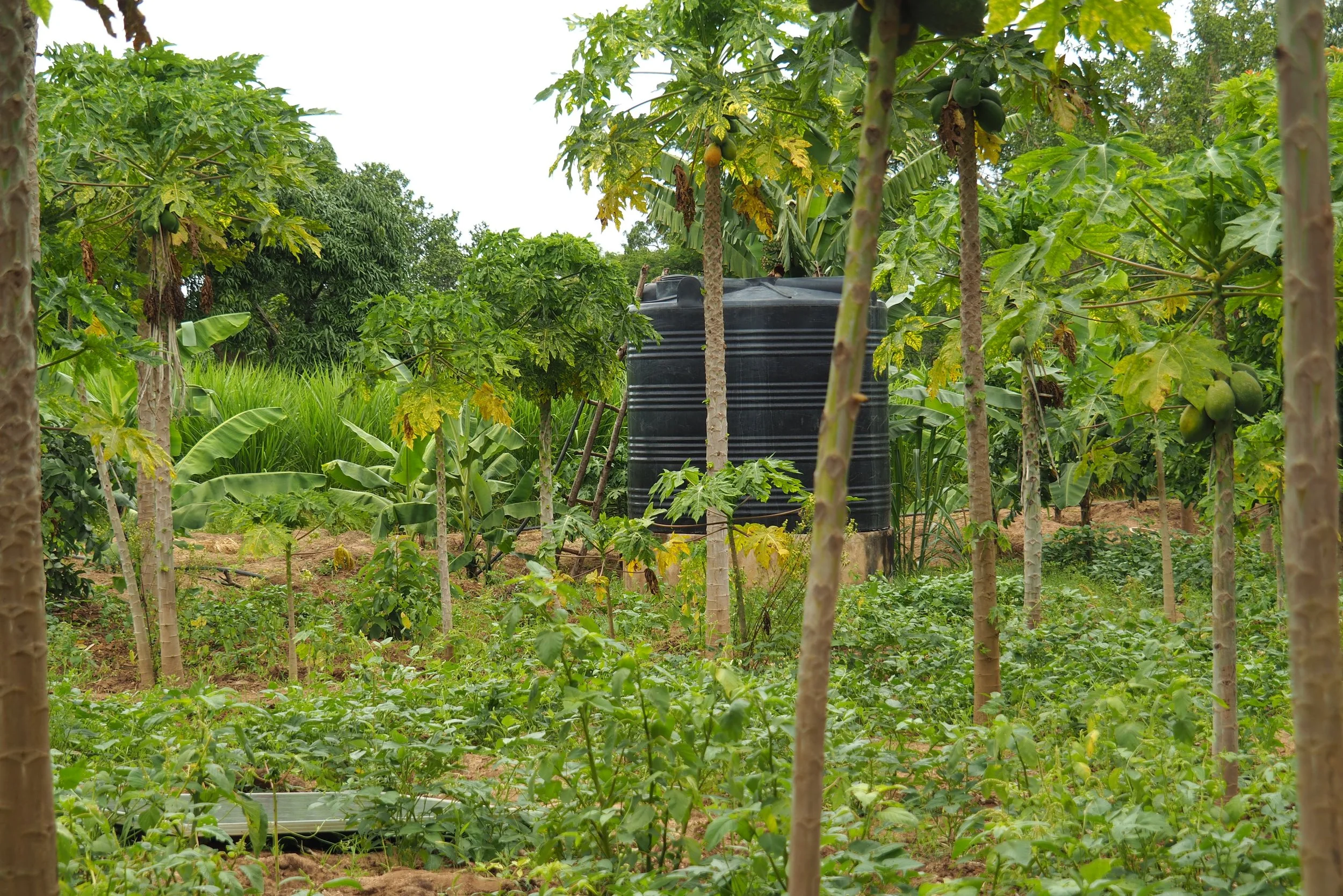 5 — 2022 der erste Wassertank