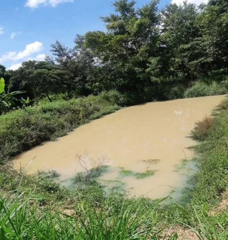 10 — 2024 nach dem Regen ist der Teich gefüllt