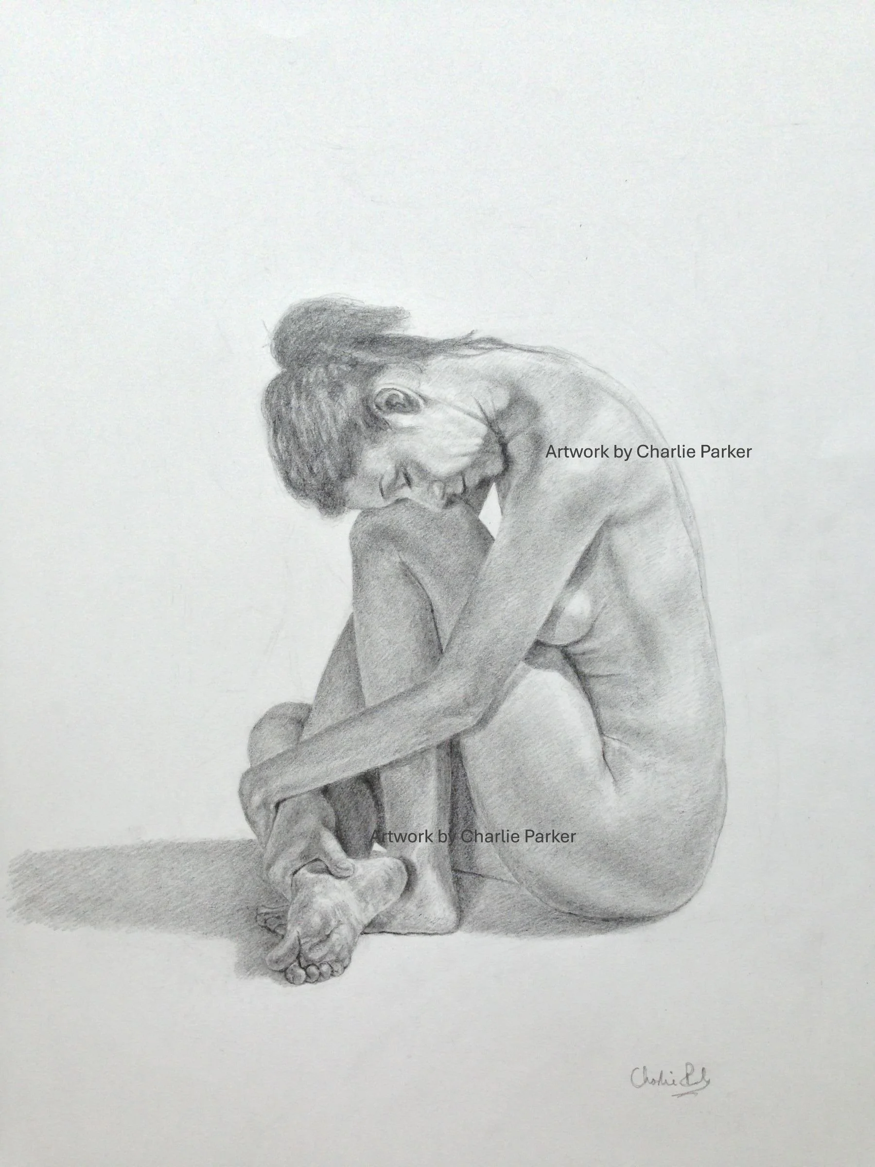402. Nude Study. 2014. Pencil. Dimensions - 23cm x 30cm. Sold.
