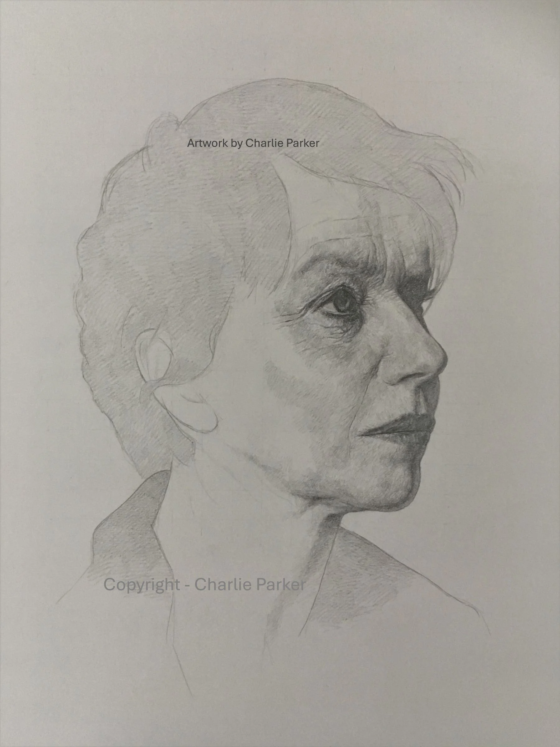 409. Helen. 2018. Pencil. Dimensions - 30cm x 42cm. For Sale.