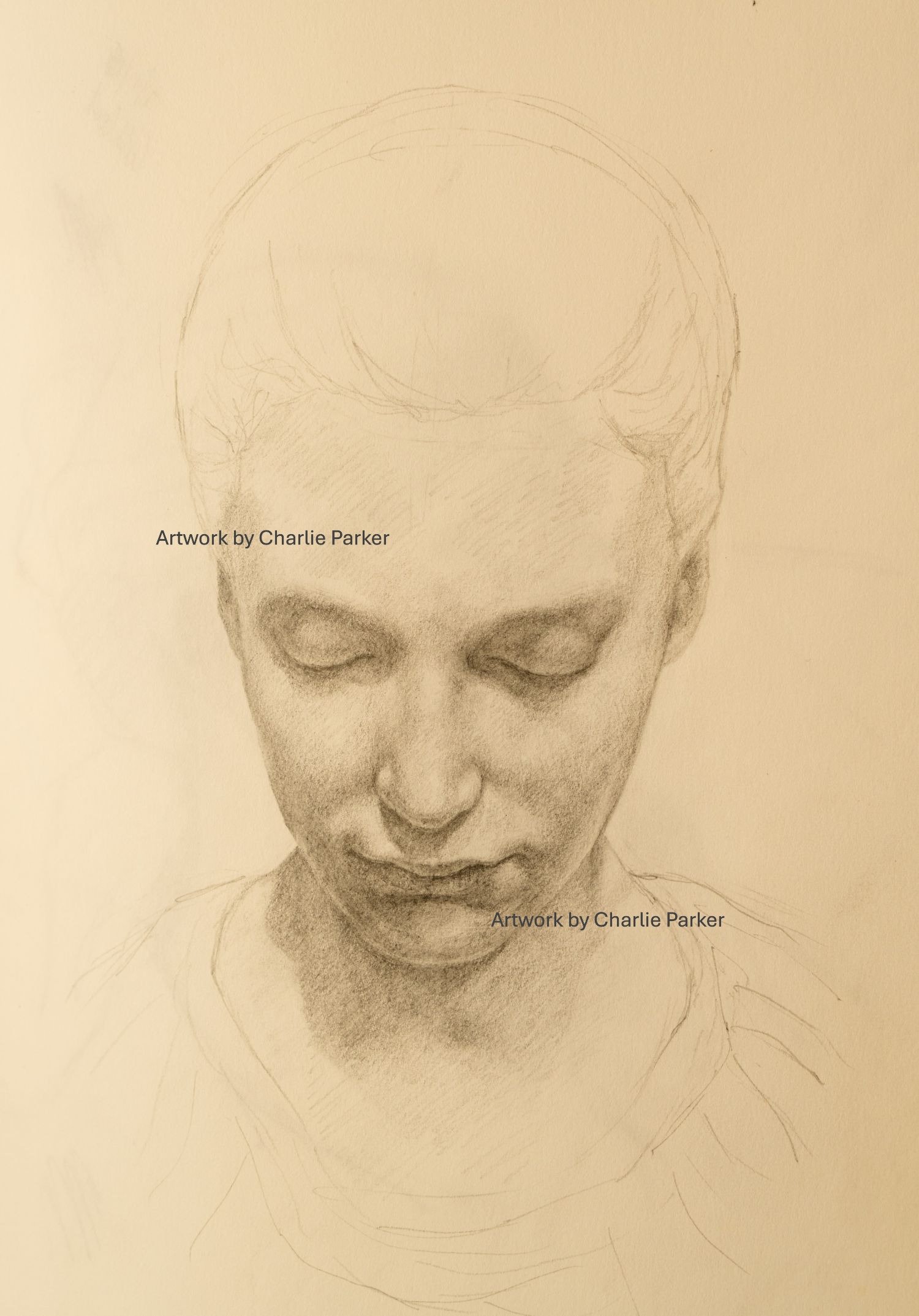459. Study of bust, 2013, Pencil. Dimensions - 15cm x 20cm. For sale.